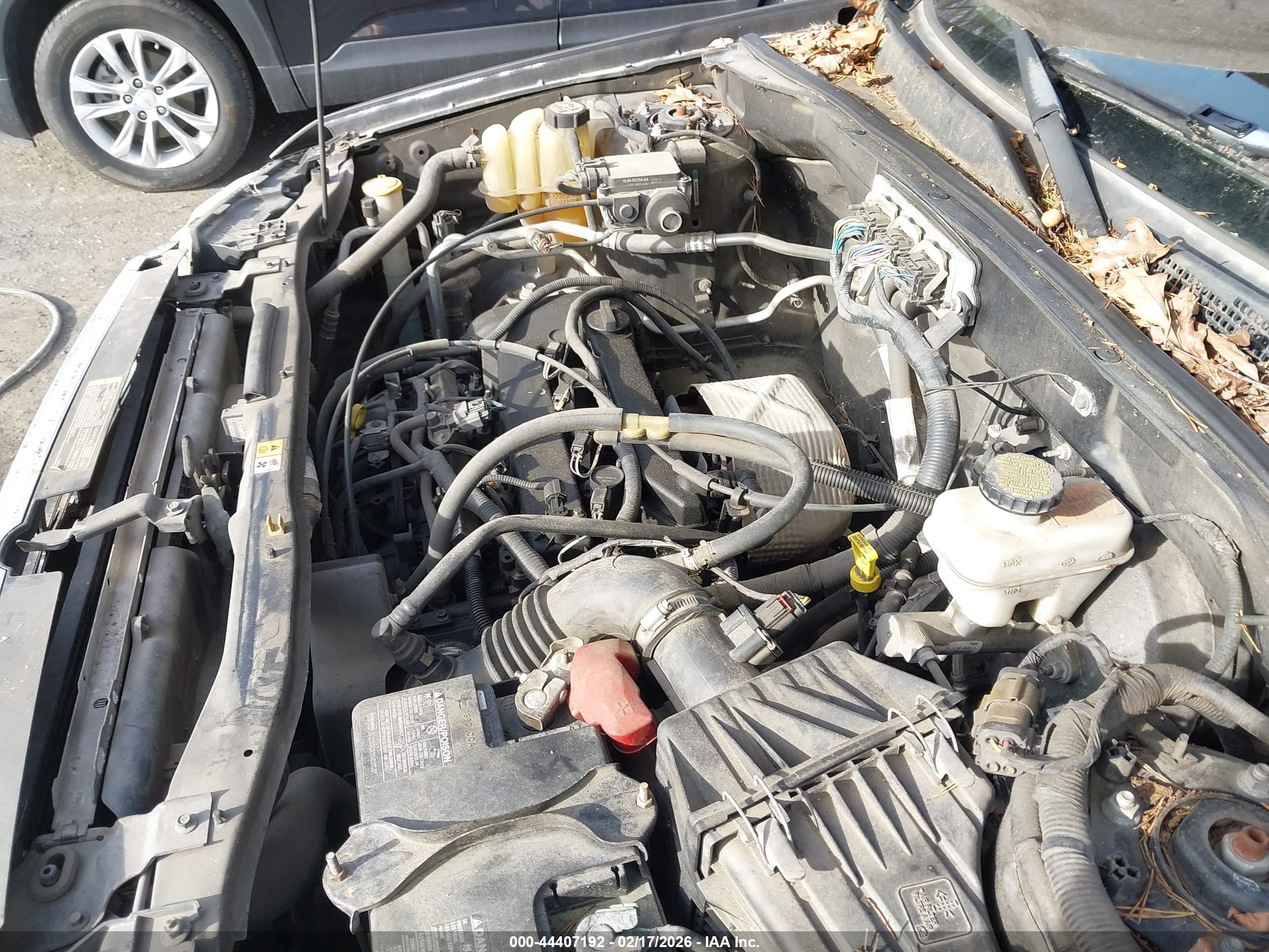 FORD ESCAPE image 10