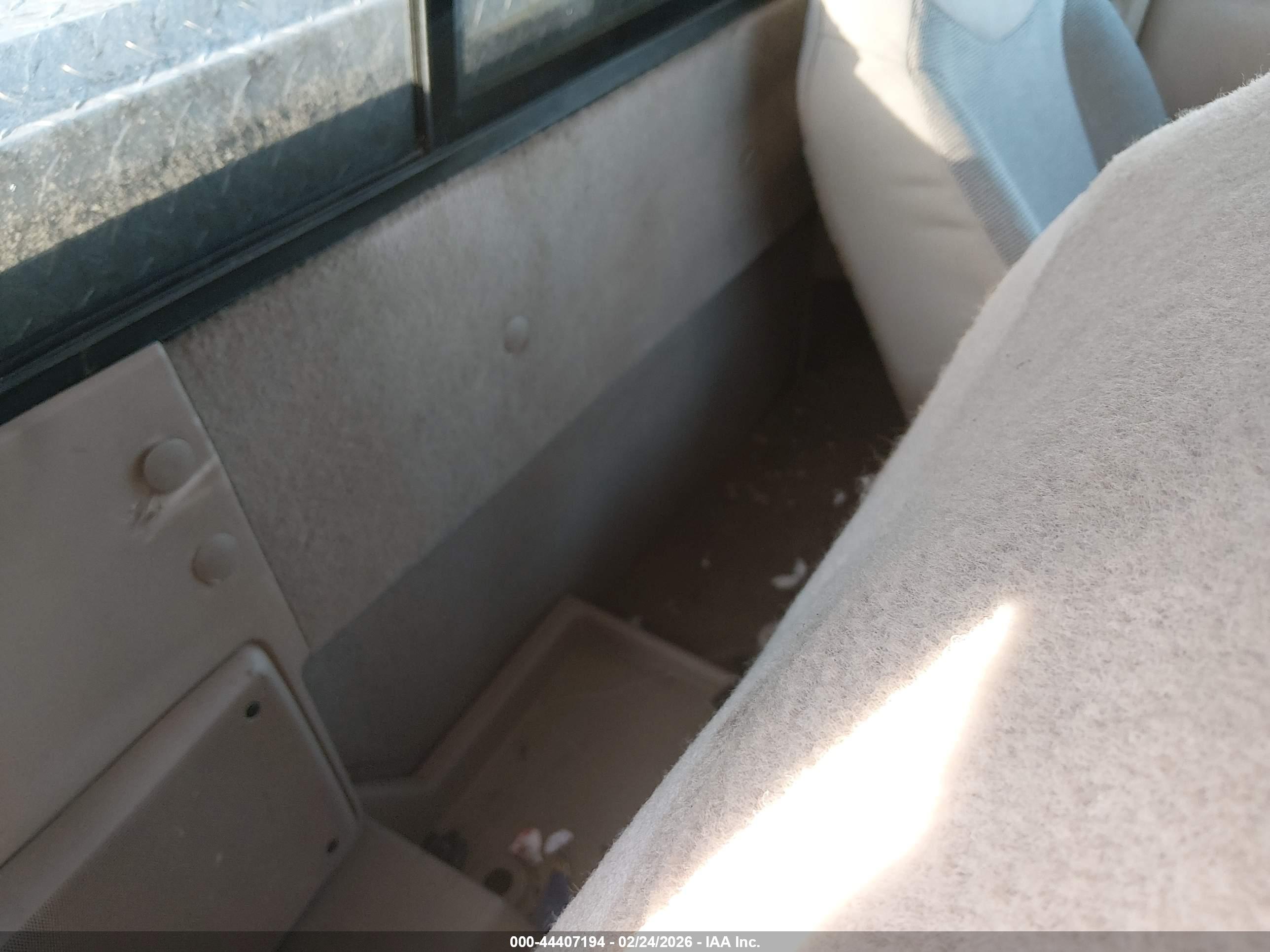 FORD RANGER image 8