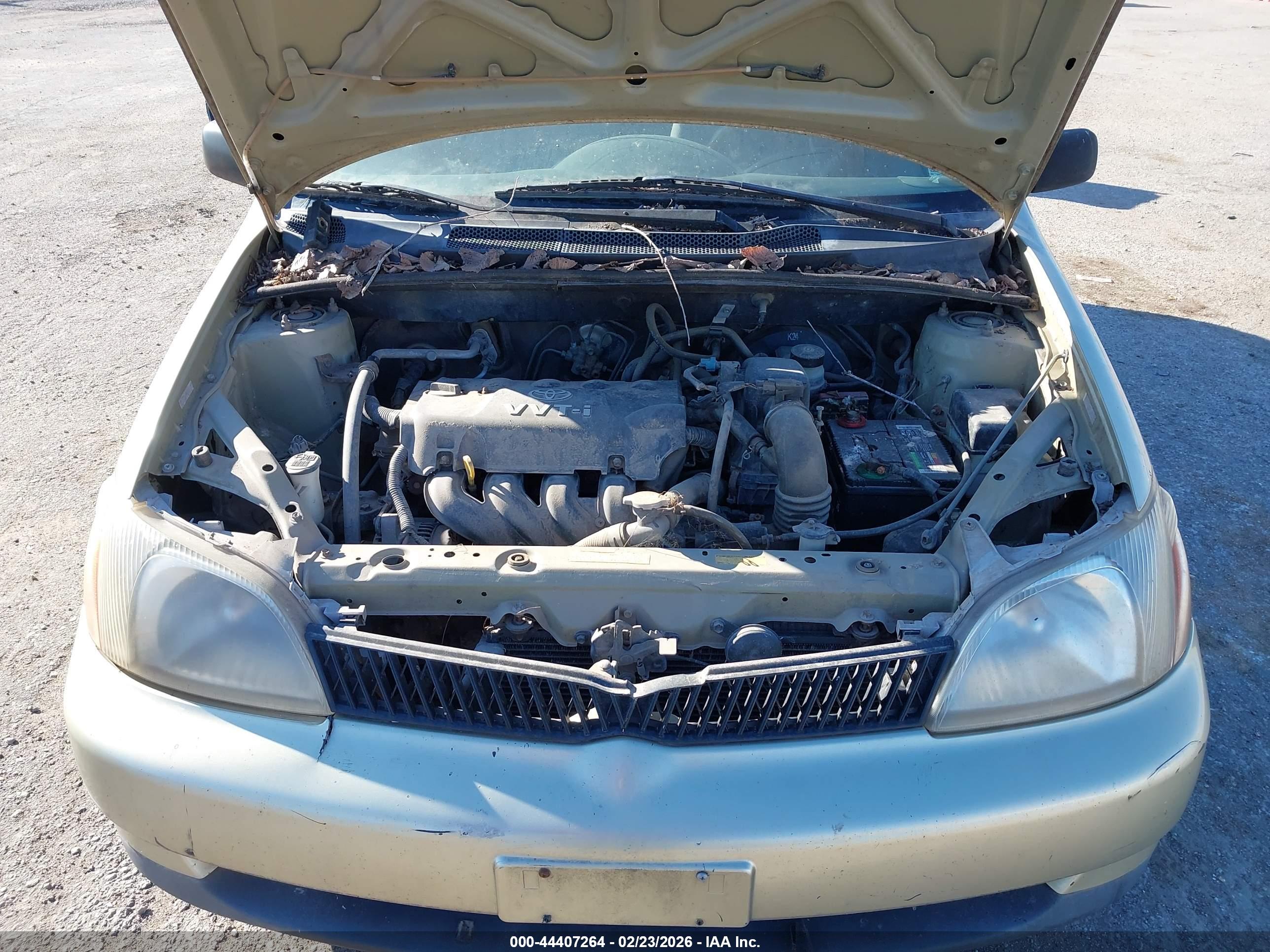 TOYOTA ECHO image 10