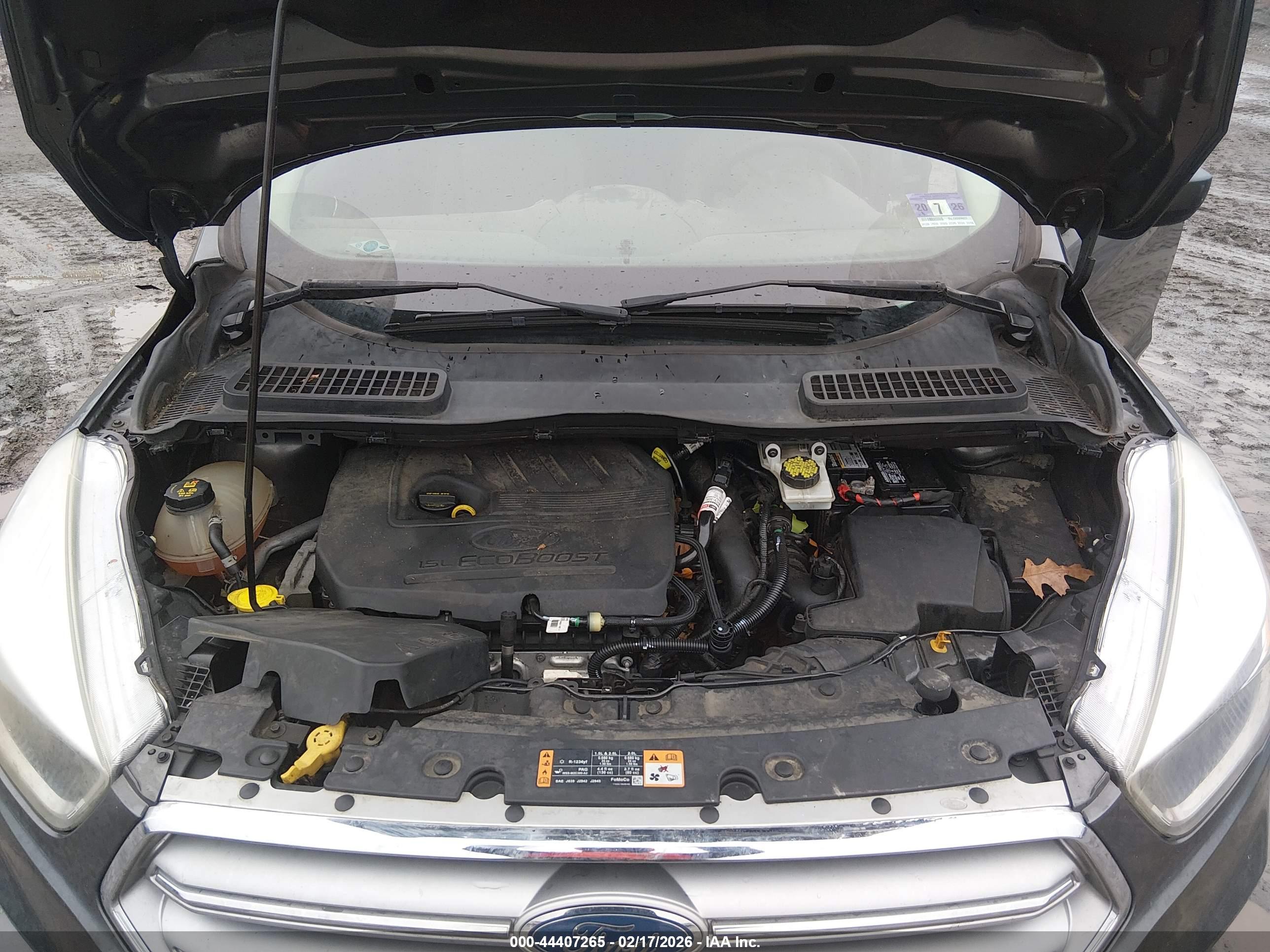 FORD ESCAPE image 10