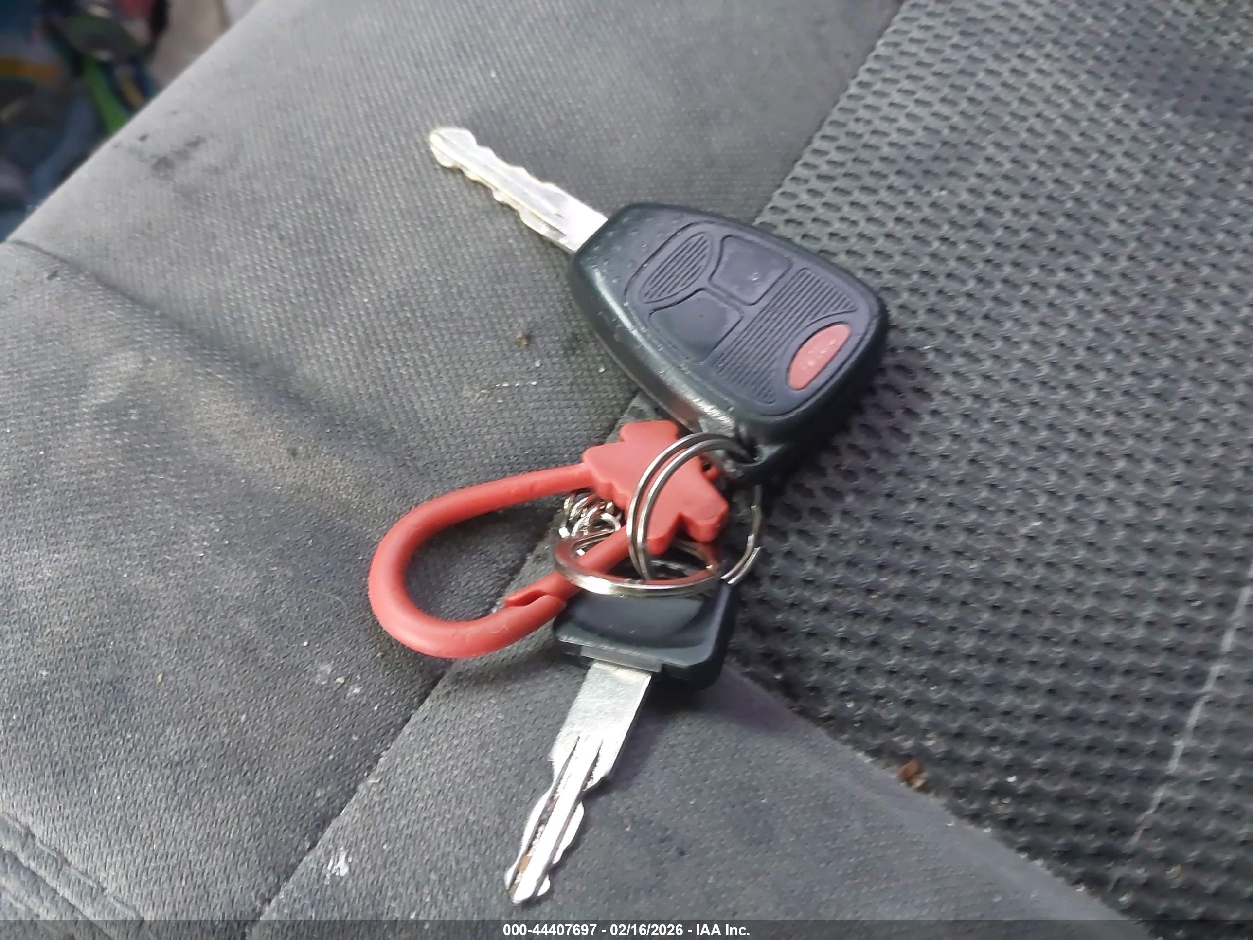 JEEP WRANGLER image 11