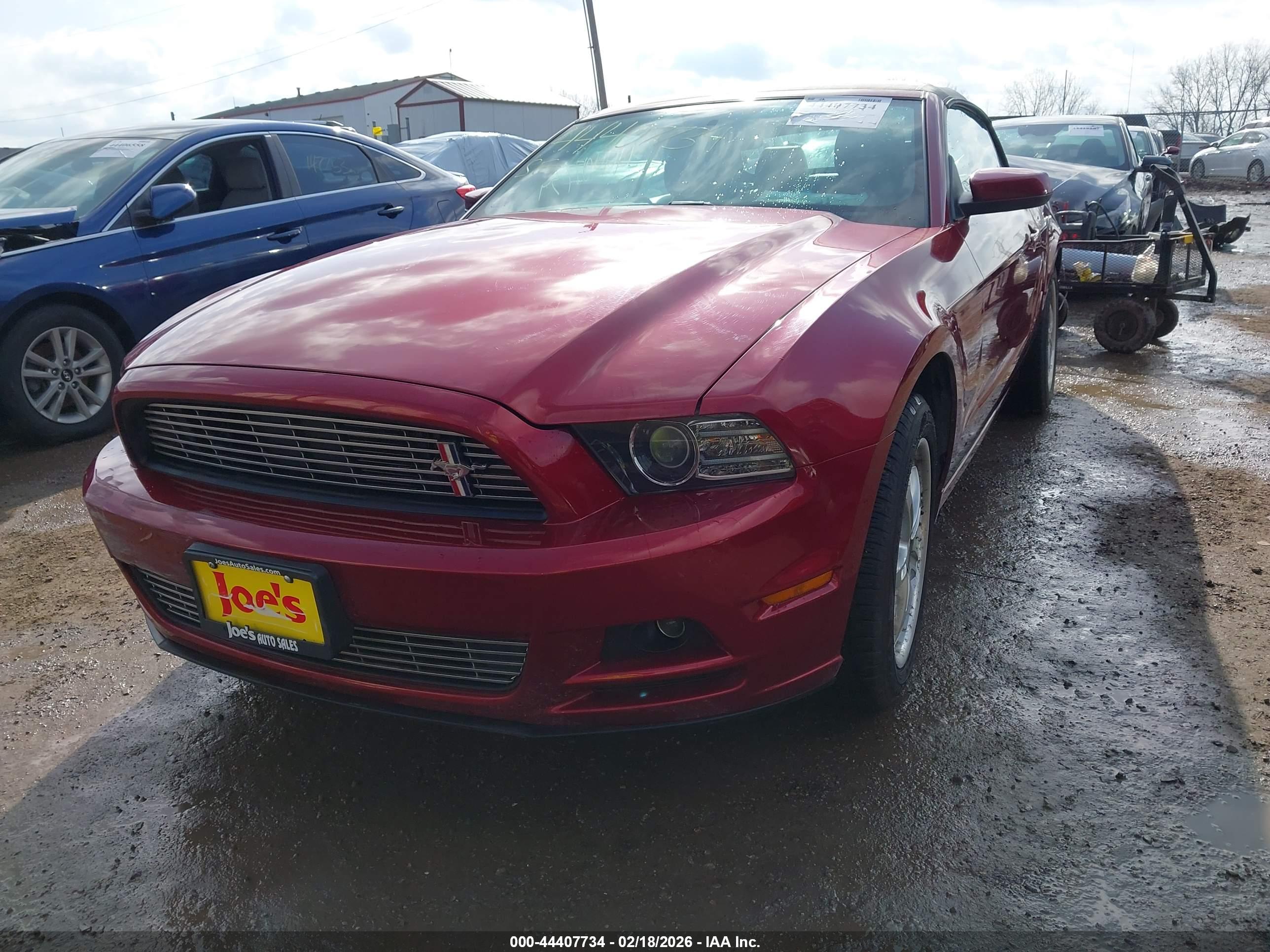FORD MUSTANG image 2