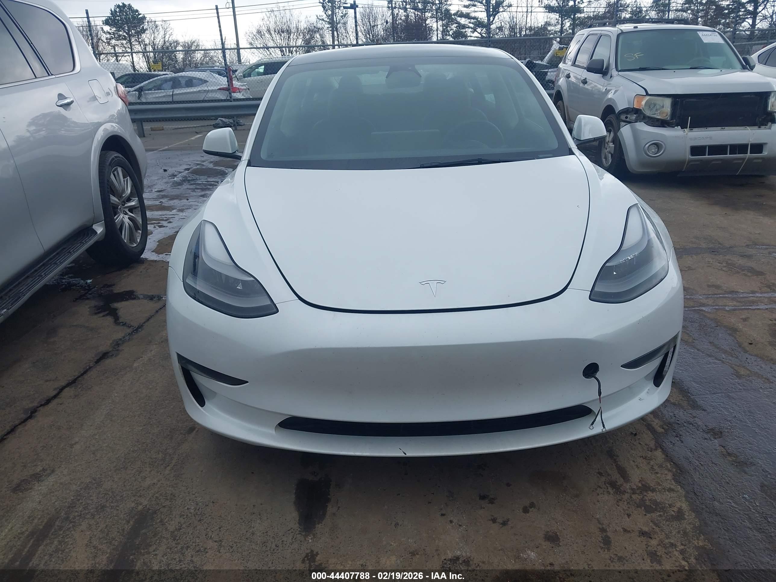 TESLA MODEL image 6