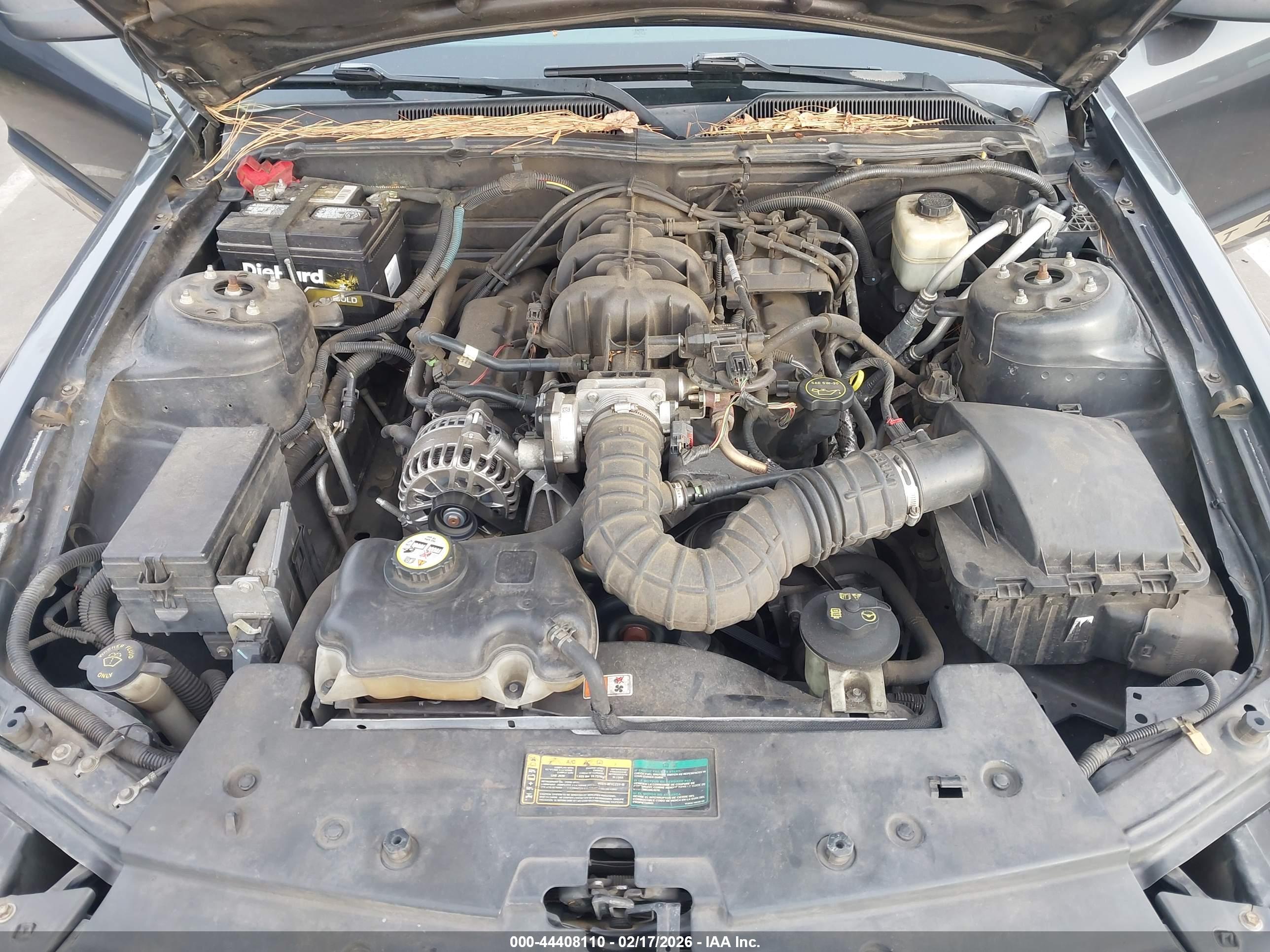 FORD MUSTANG image 10