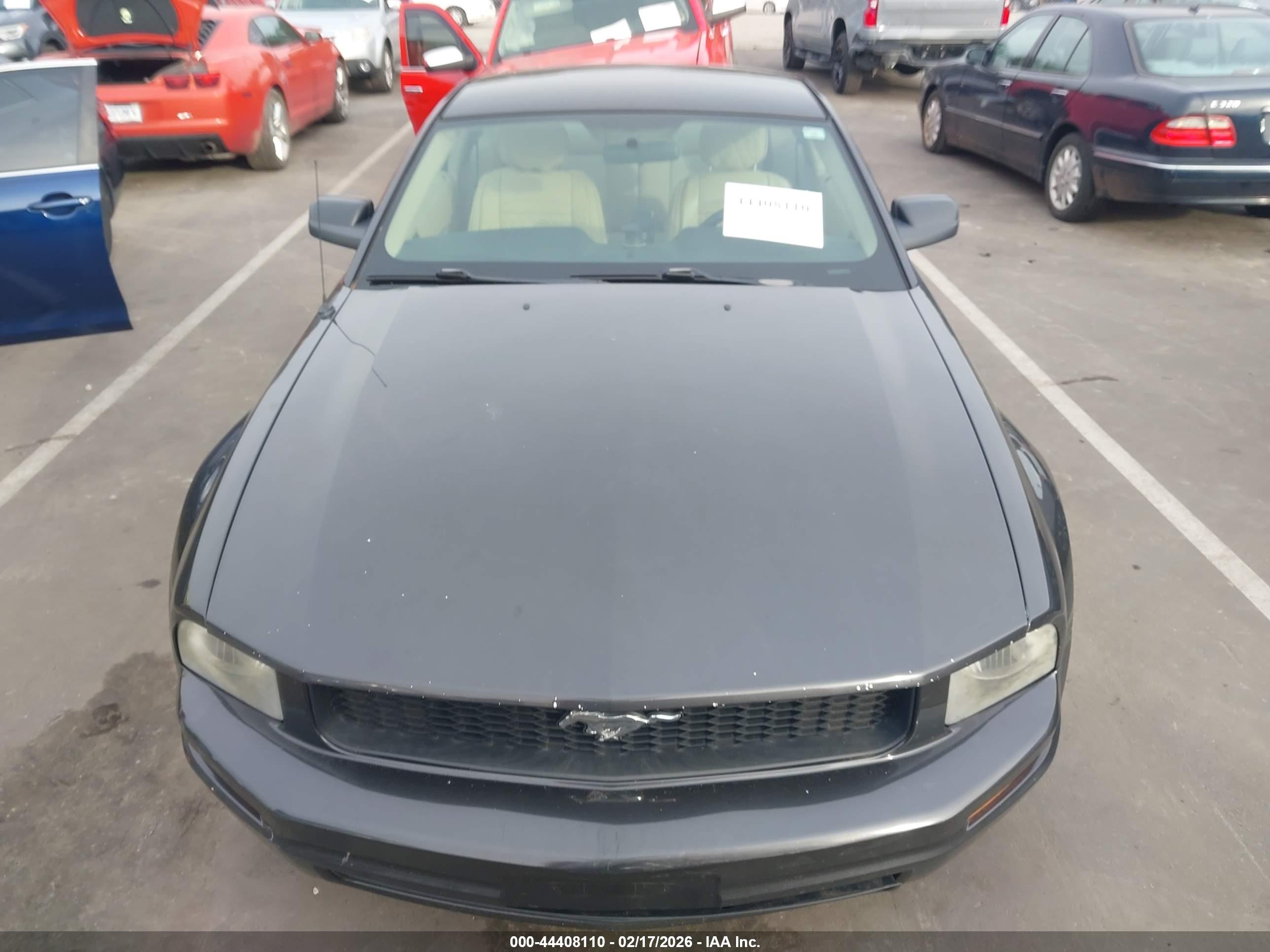 FORD MUSTANG image 6