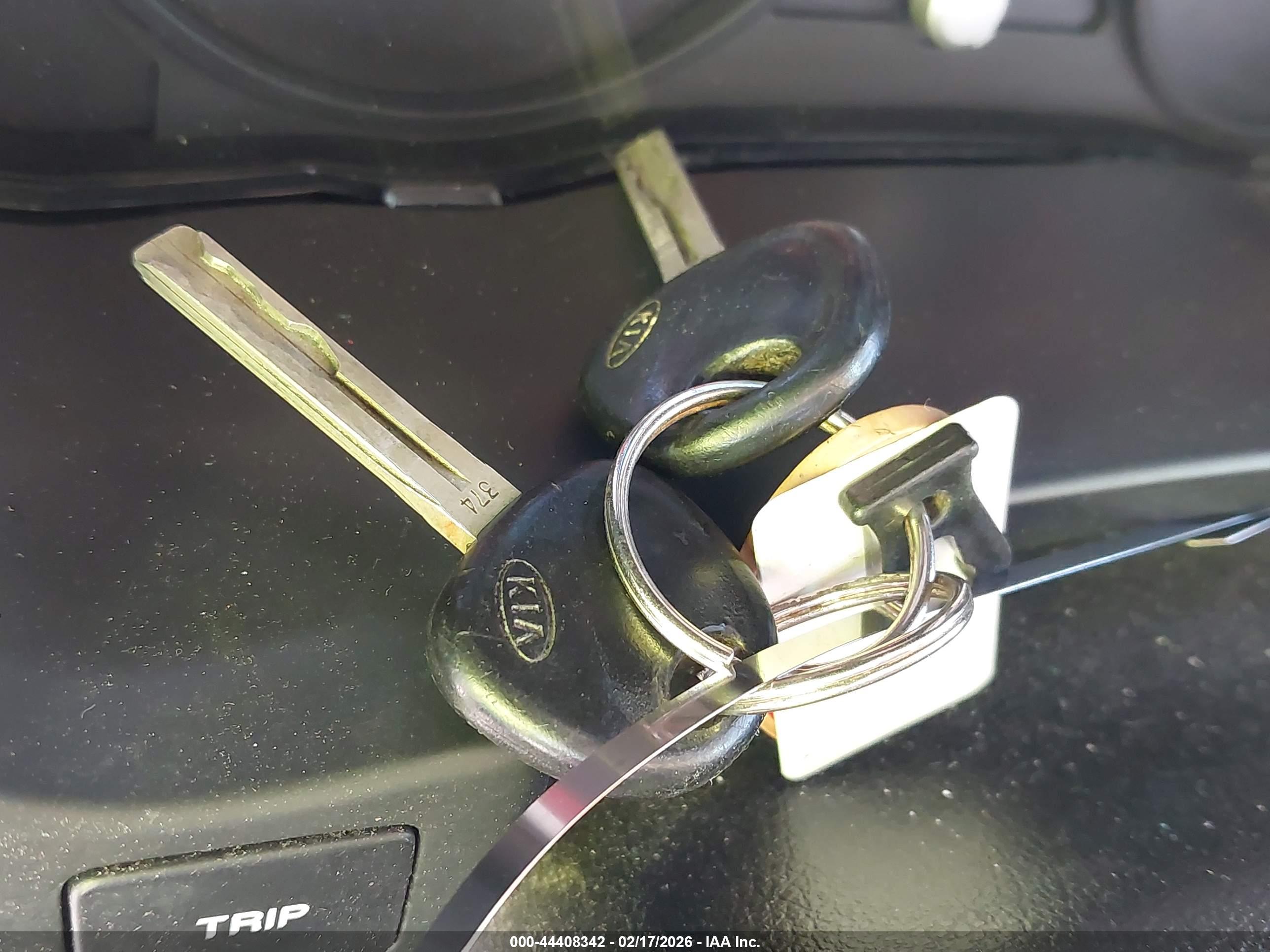 KIA RIO image 11