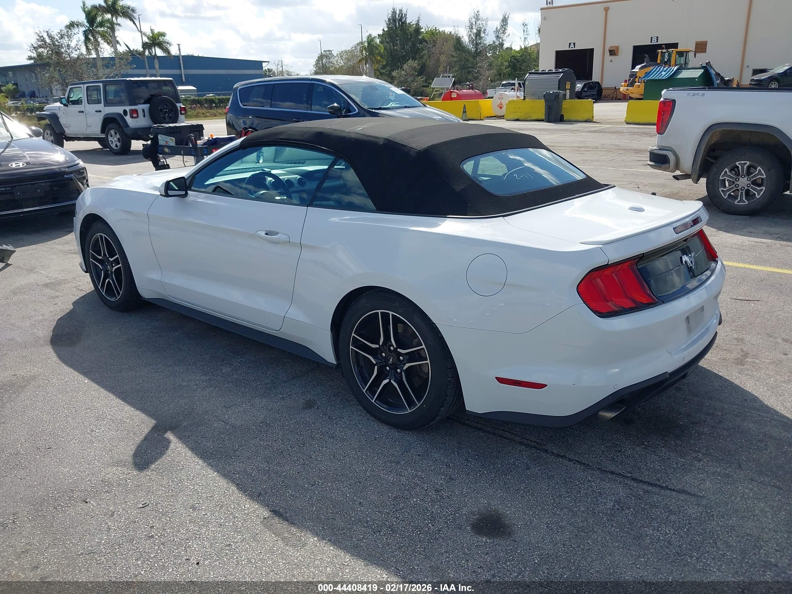 FORD MUSTANG image 3