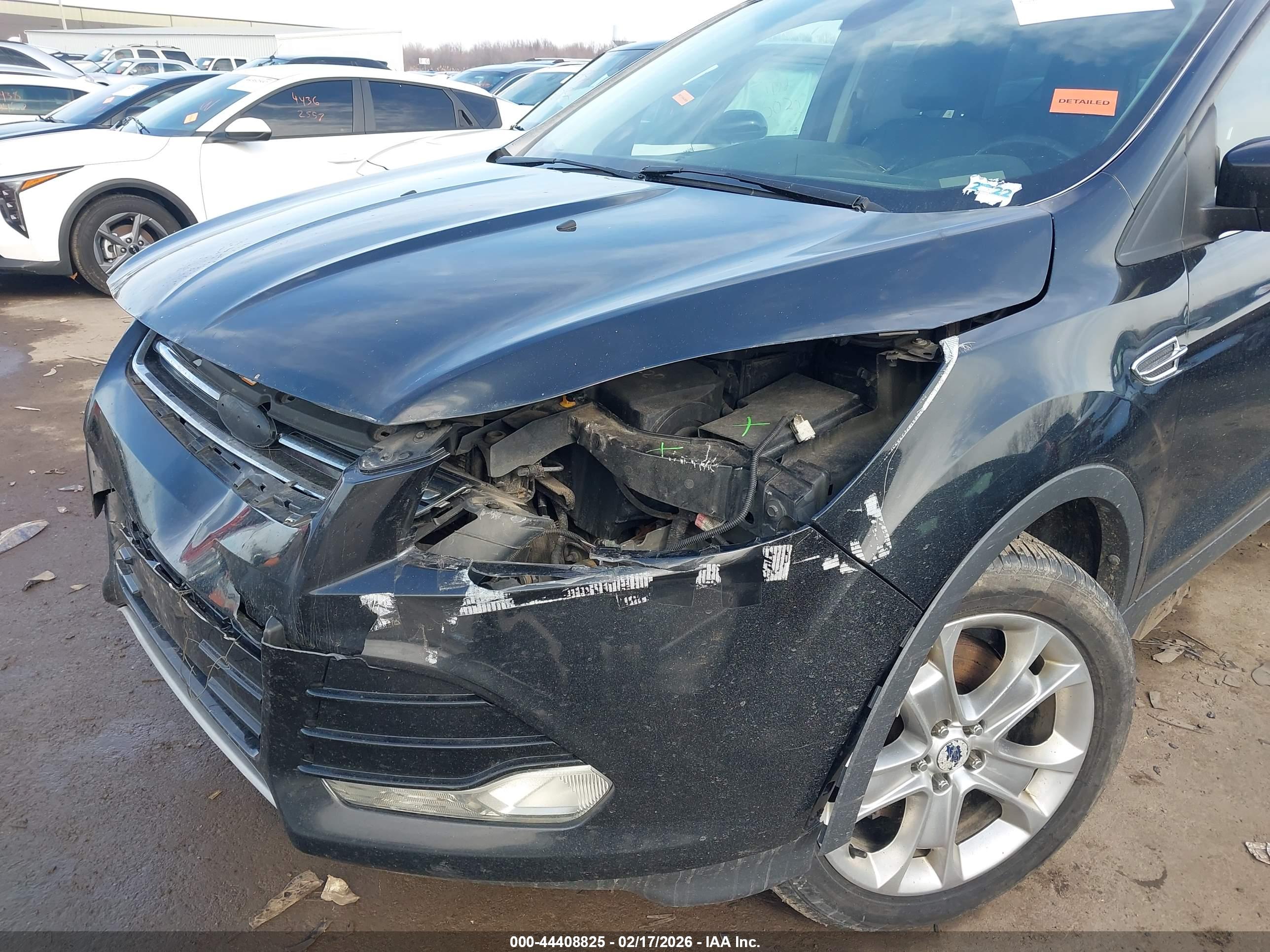 FORD ESCAPE image 6