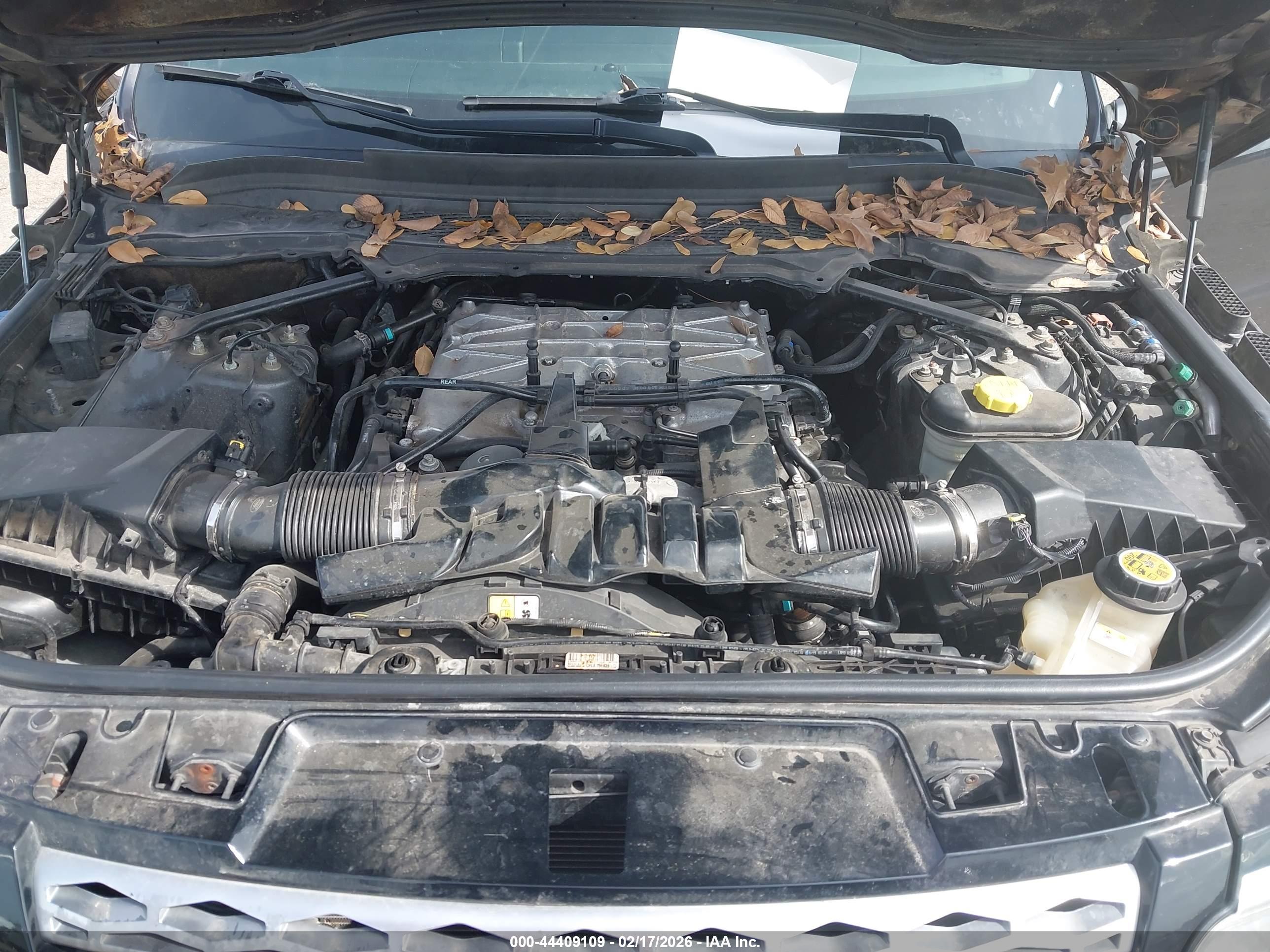 LAND ROVER image 10