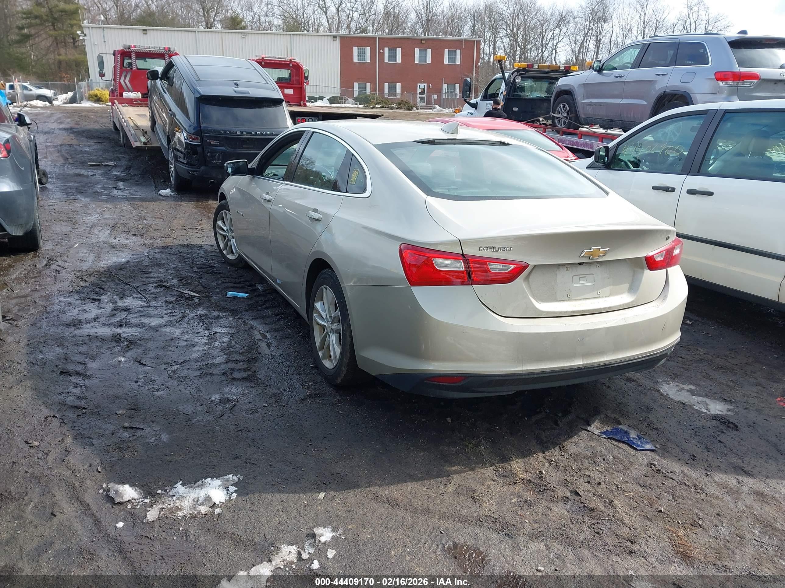 CHEVROLET MALIBU image 3