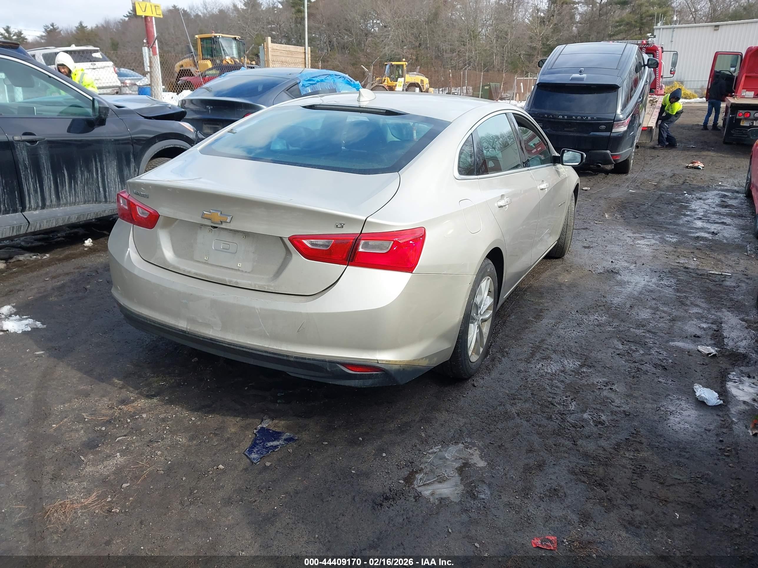 CHEVROLET MALIBU image 4