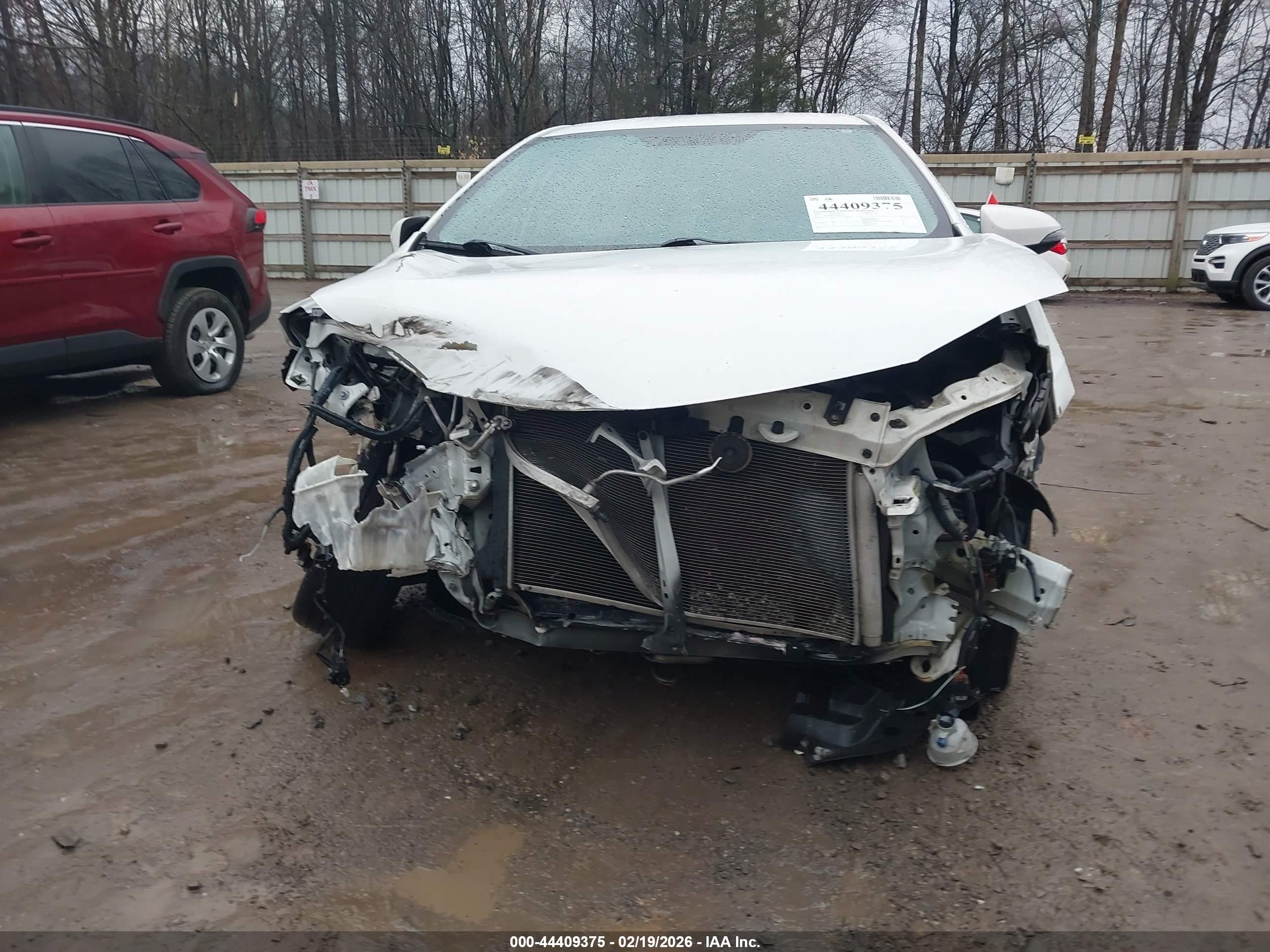 TOYOTA COROLLA image 6