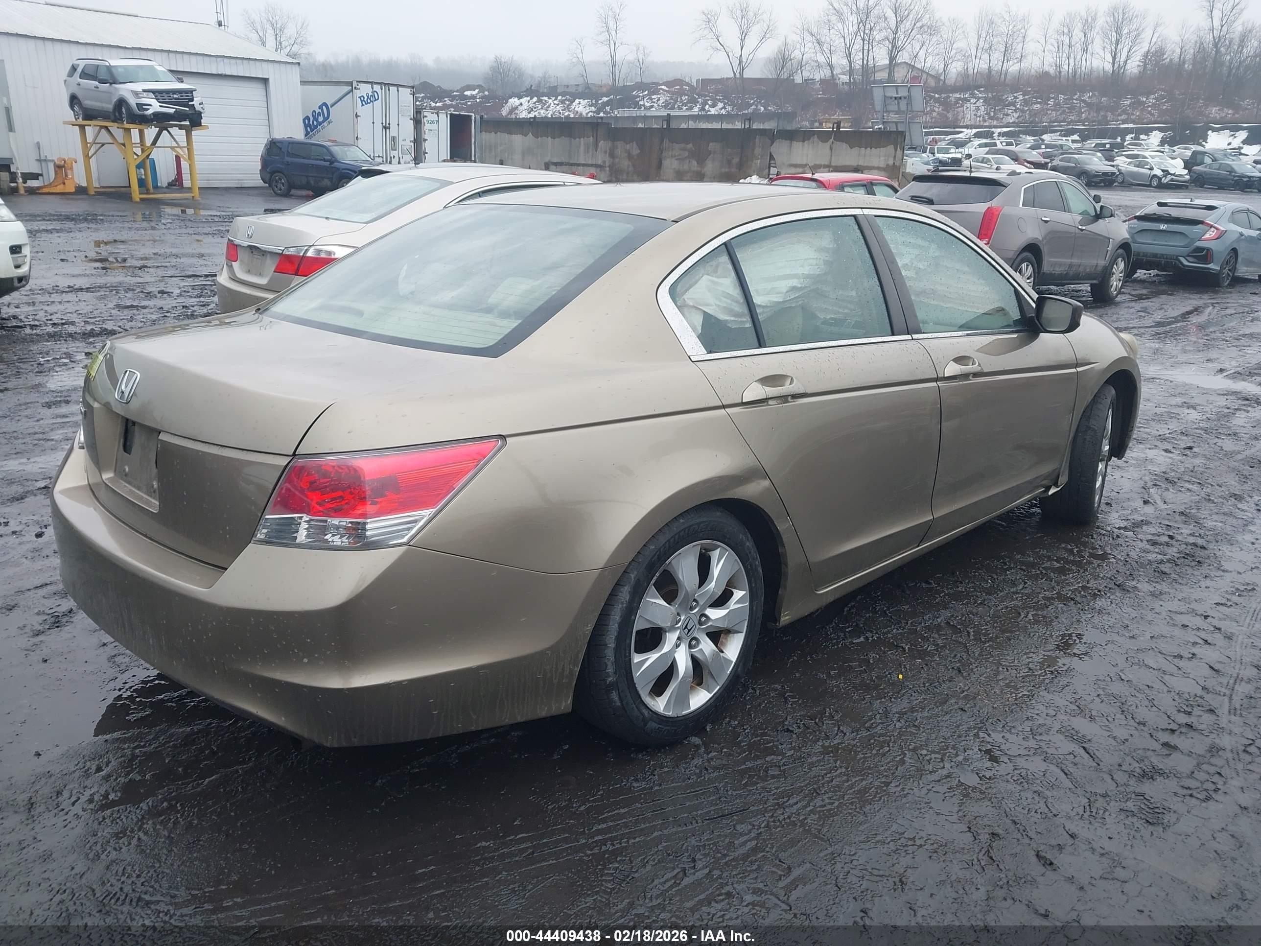 HONDA ACCORD image 4