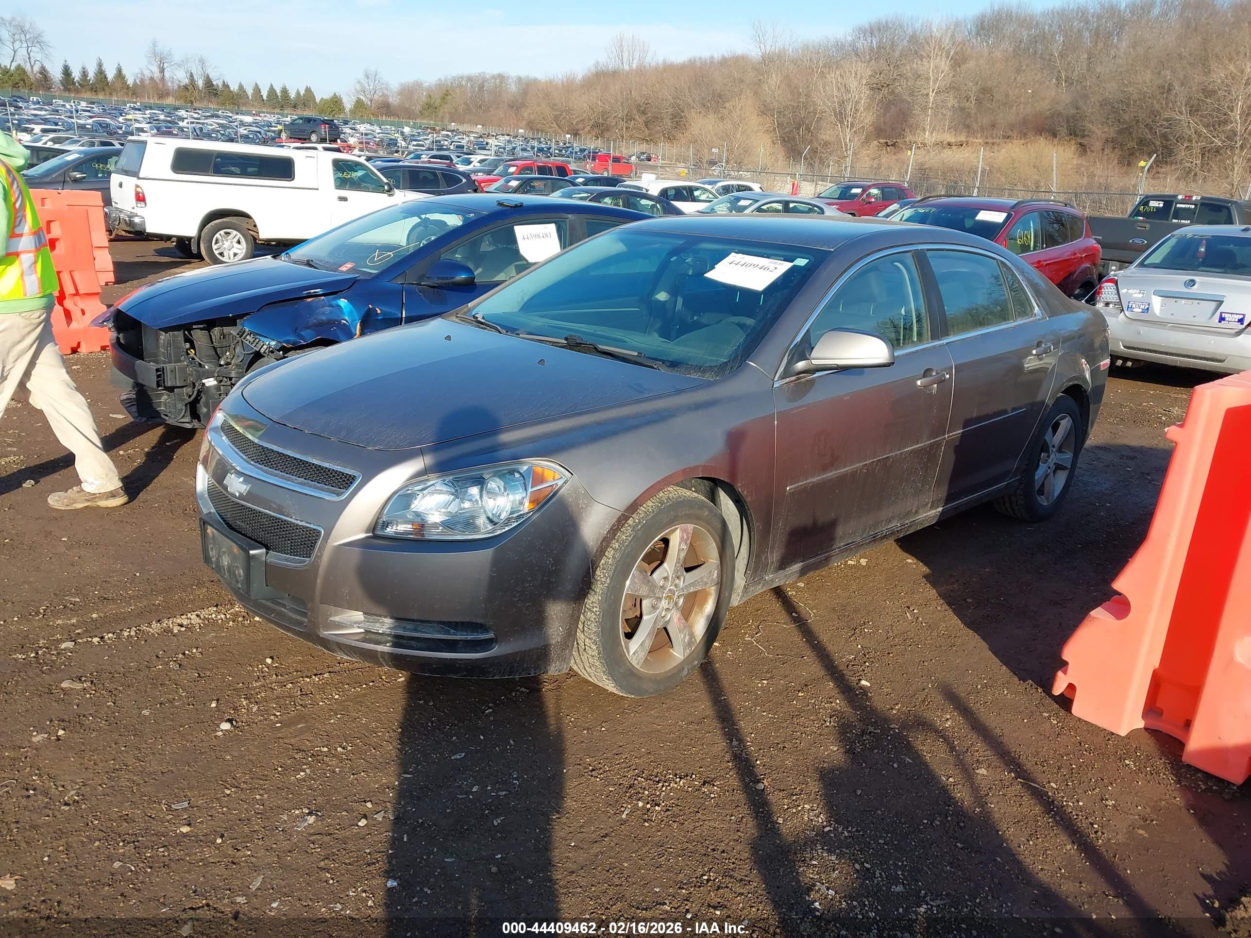 CHEVROLET MALIBU image 2