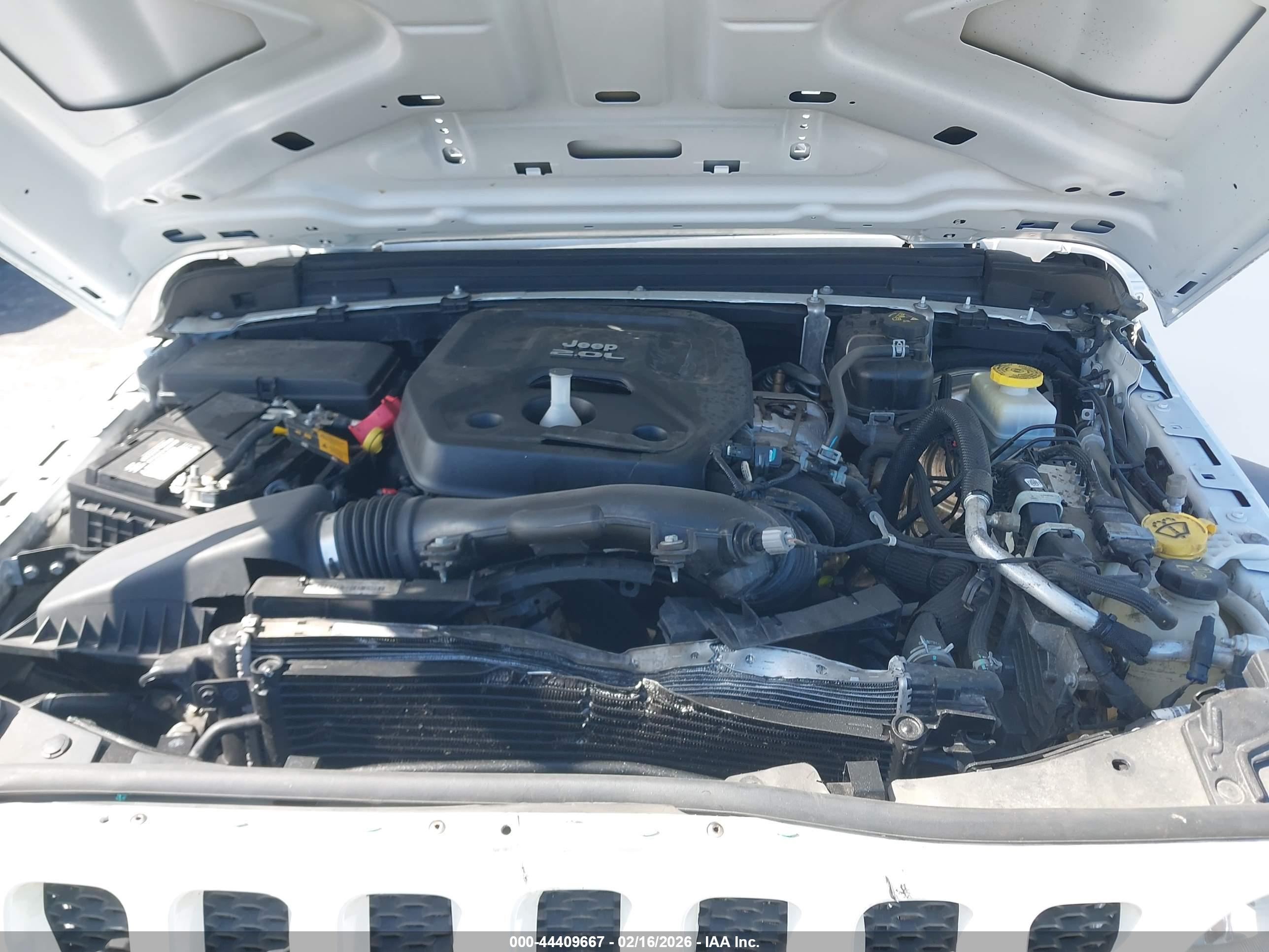 JEEP WRANGLER image 10