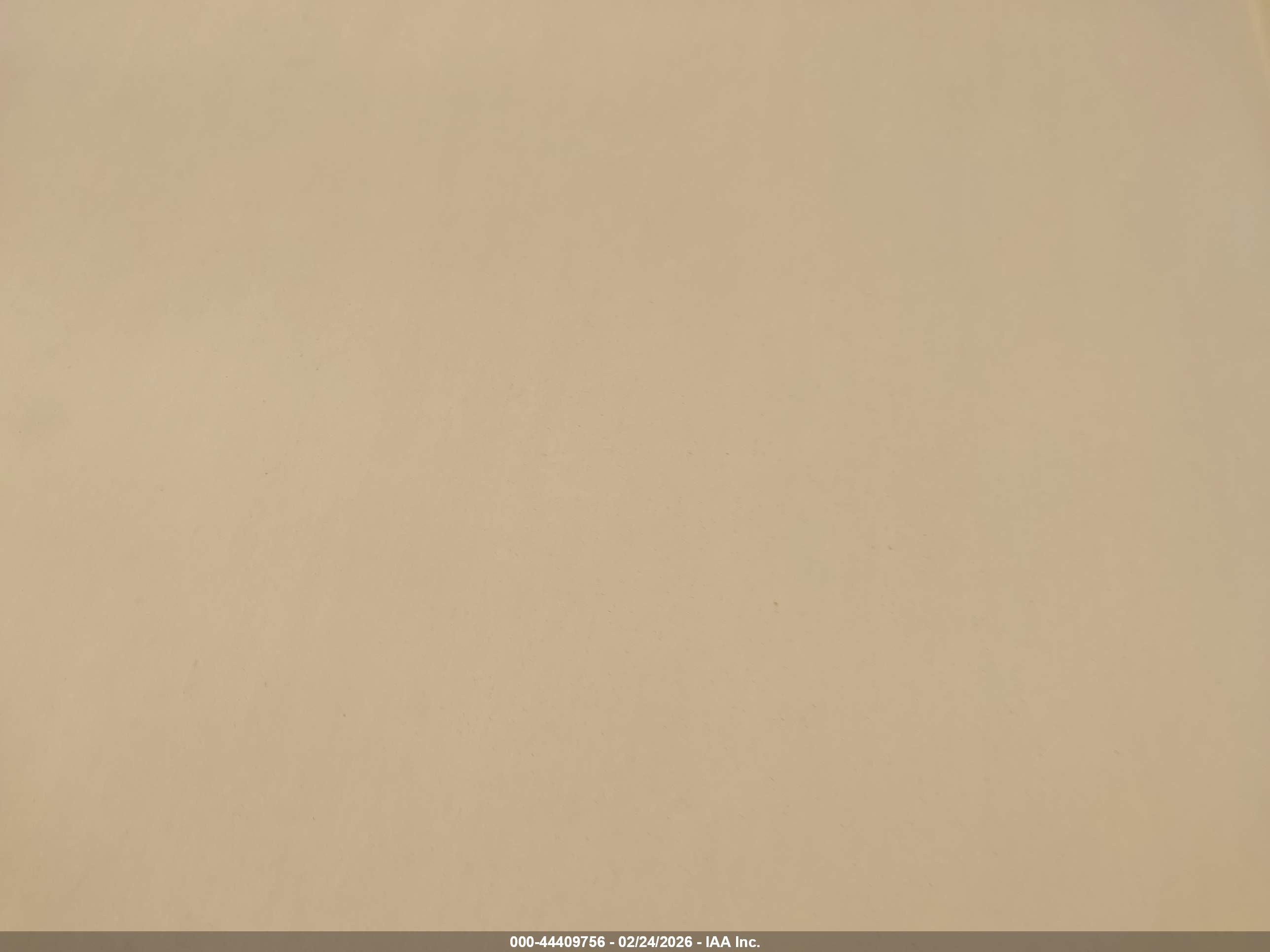 GRAND DESIGN image 7