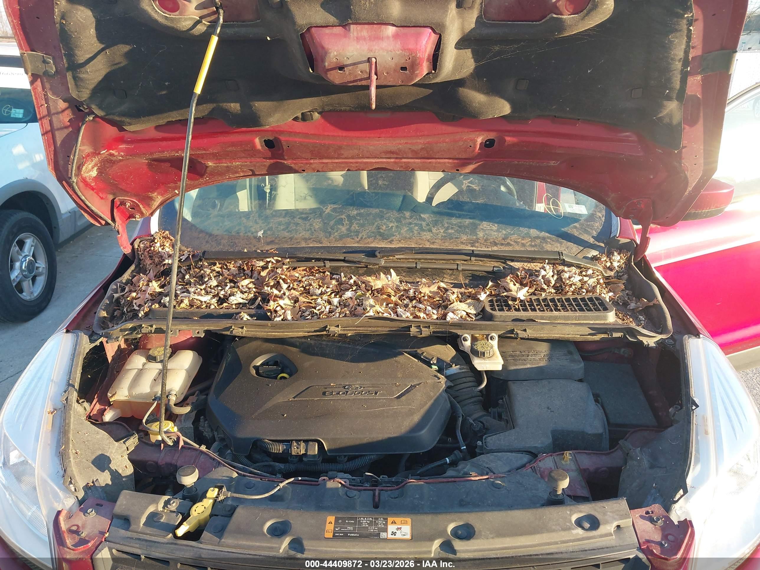 FORD ESCAPE image 10