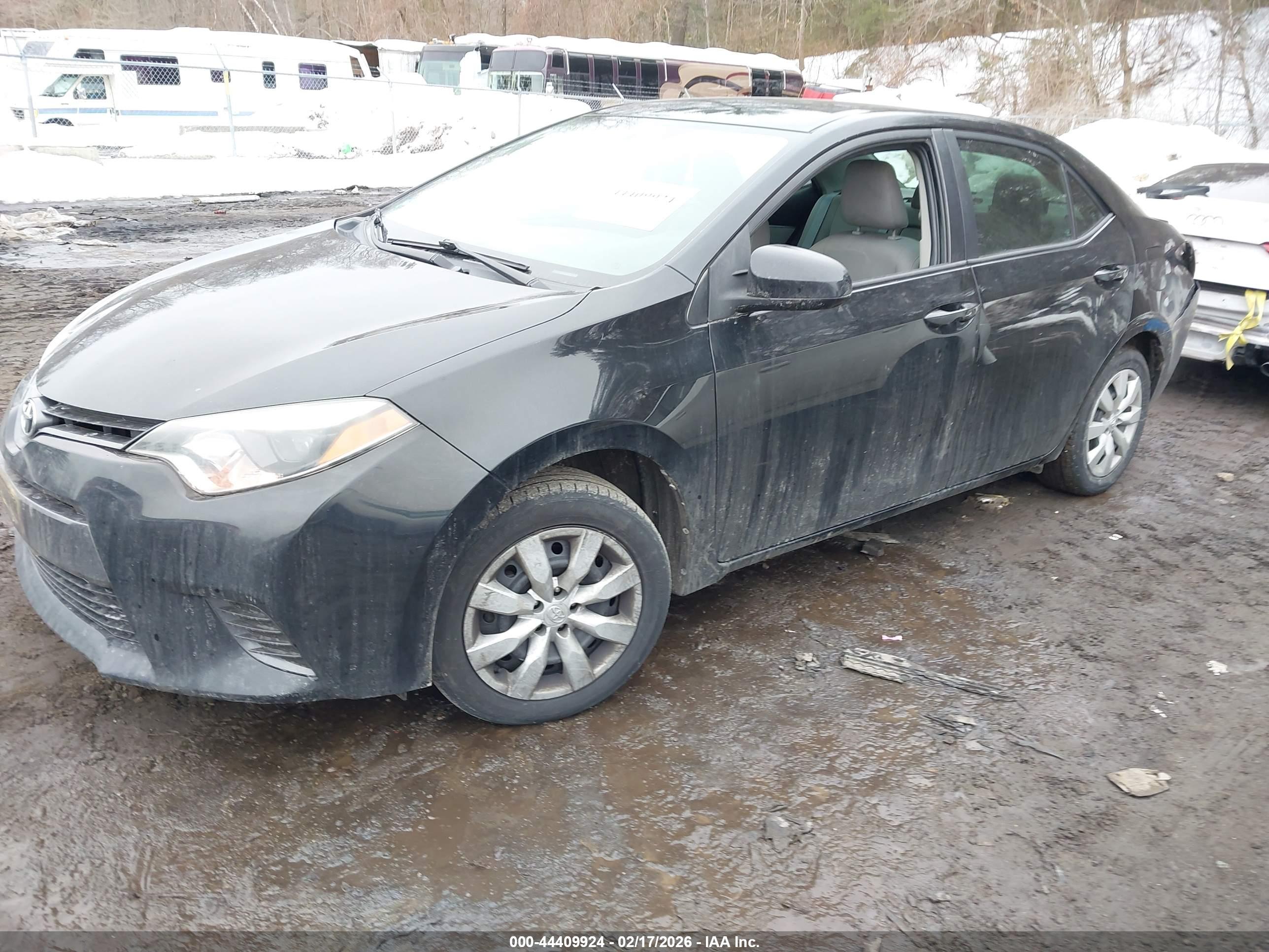 TOYOTA COROLLA image 2