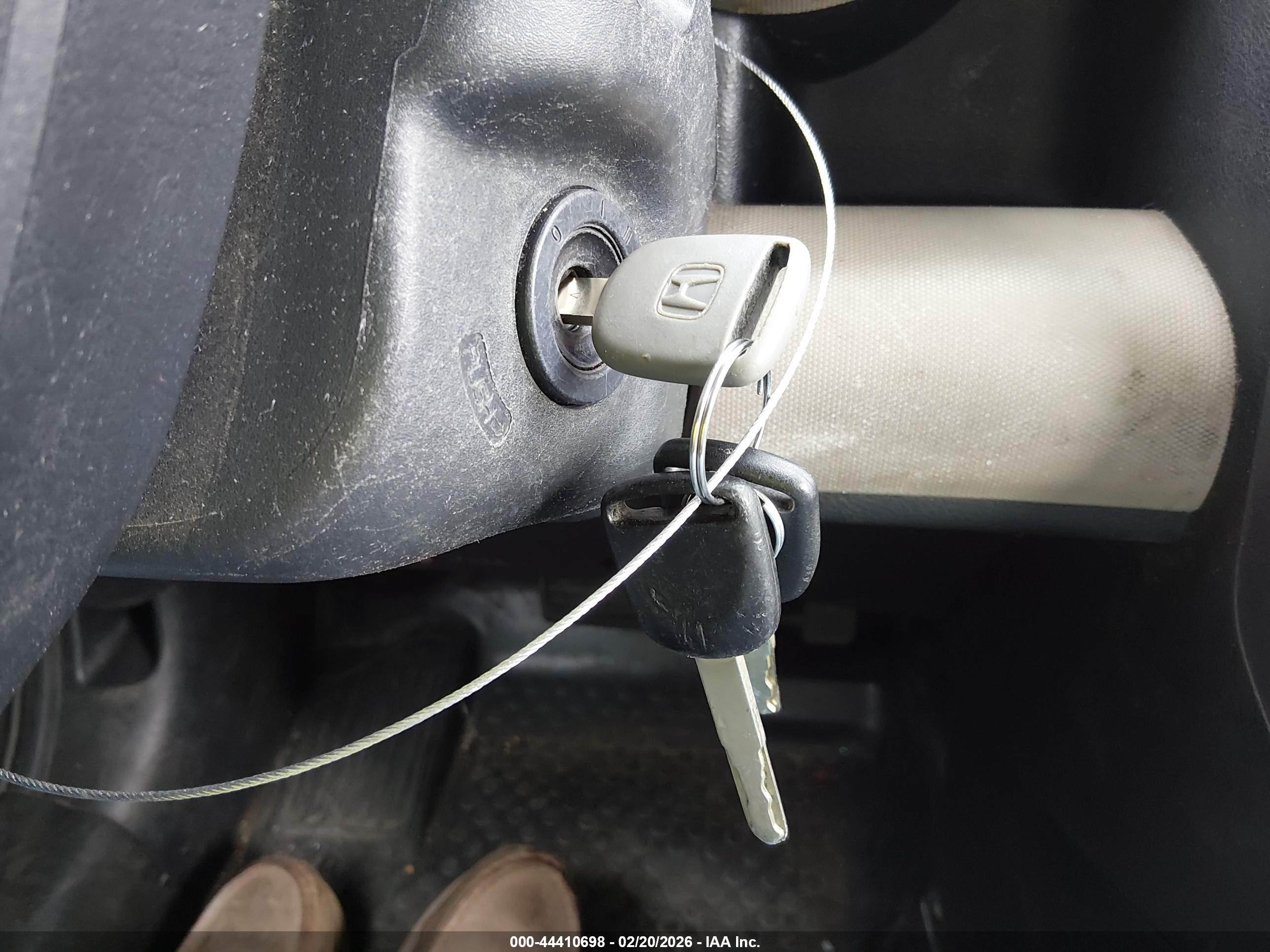 HONDA ELEMENT image 11