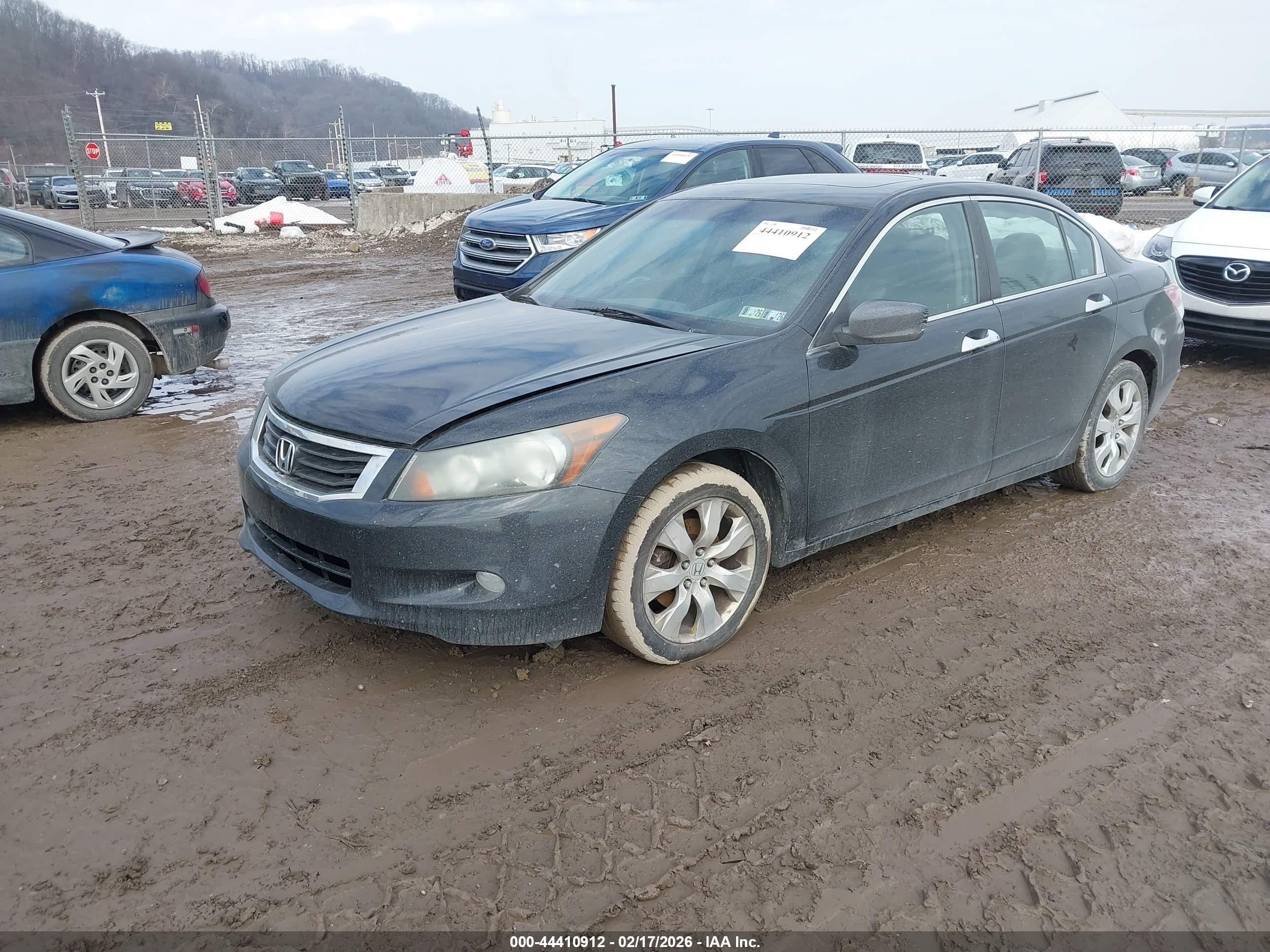 HONDA ACCORD image 2