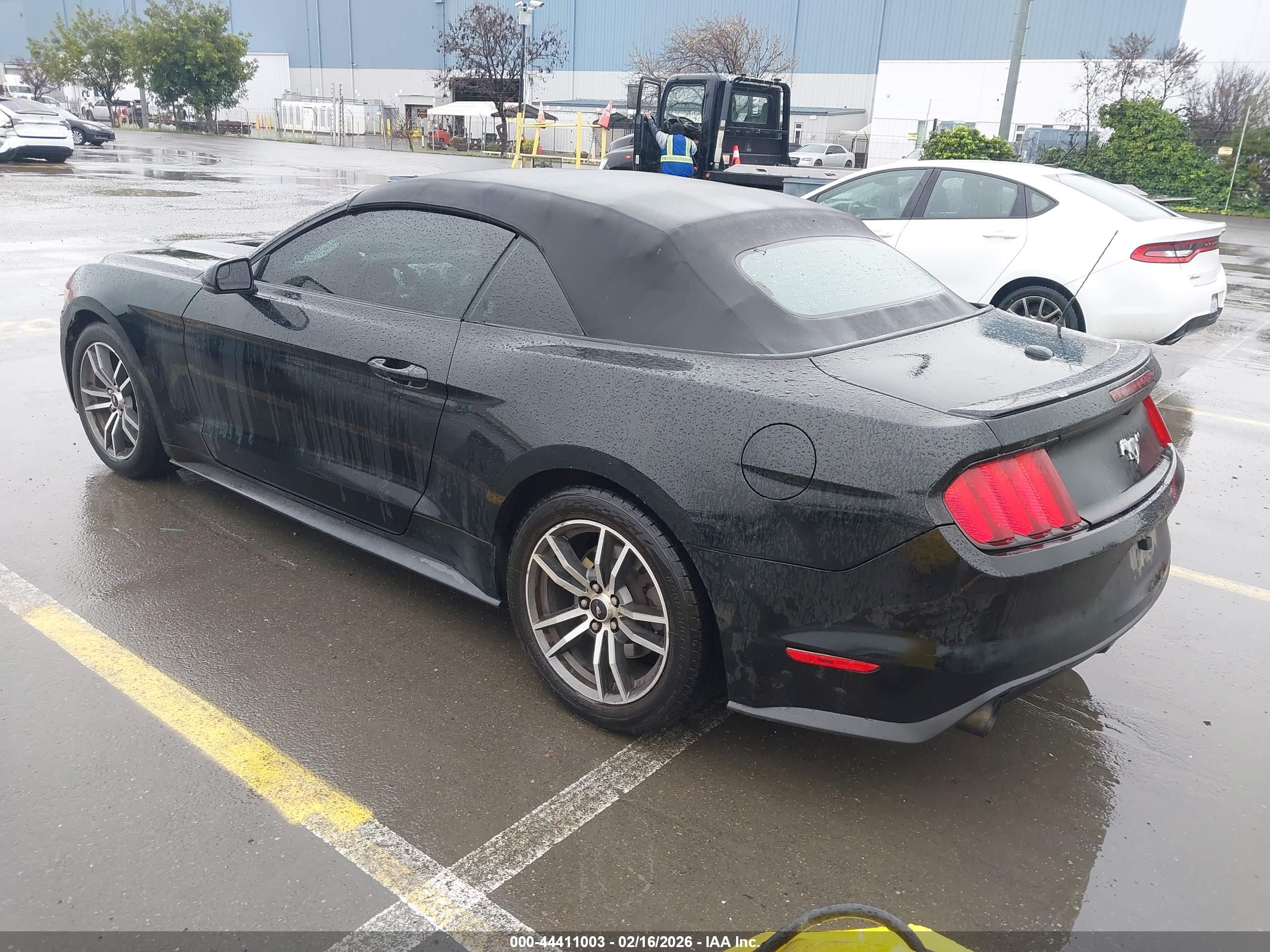 FORD MUSTANG image 3