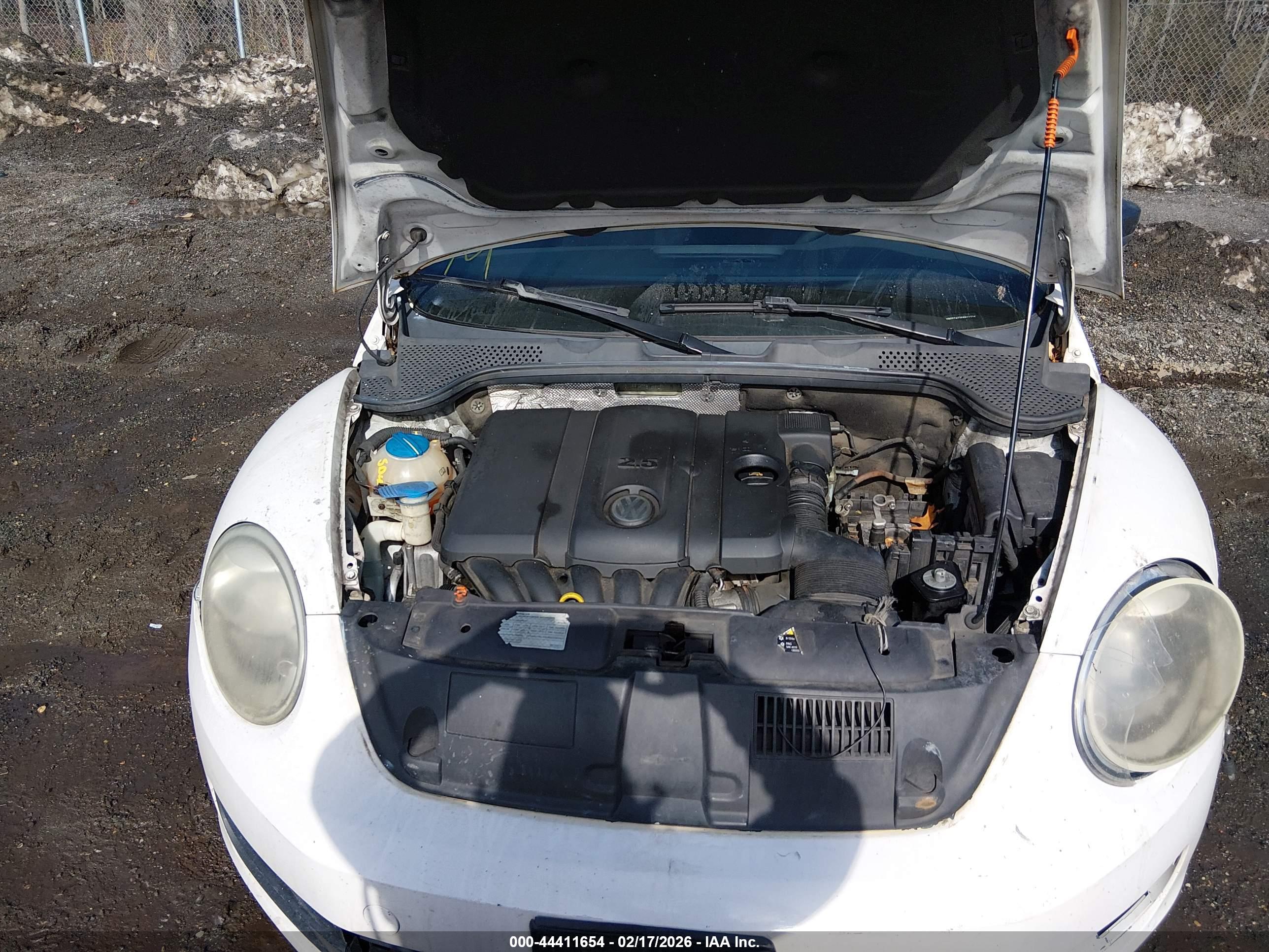 VOLKSWAGEN BEETLE image 10