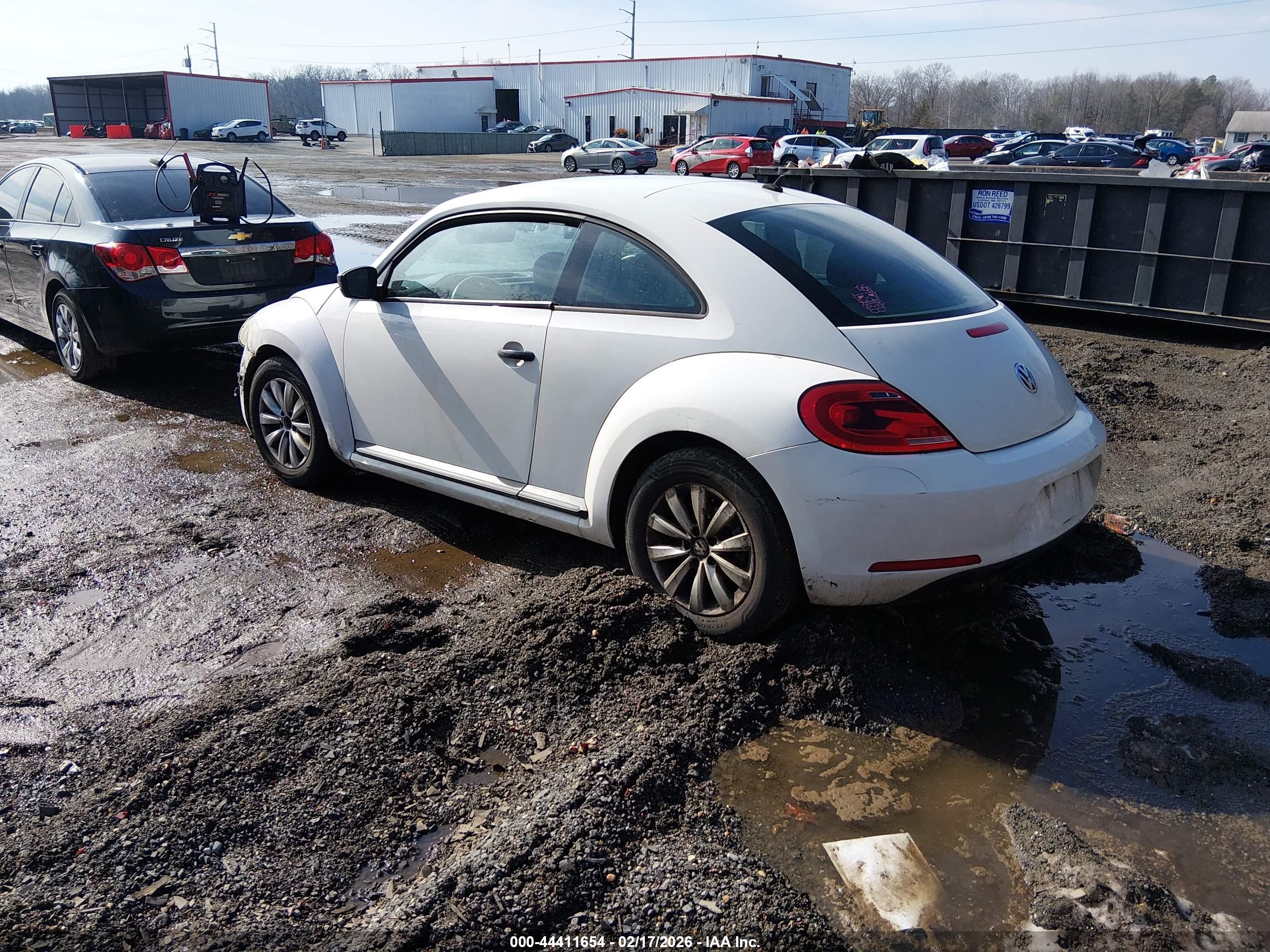 VOLKSWAGEN BEETLE image 3