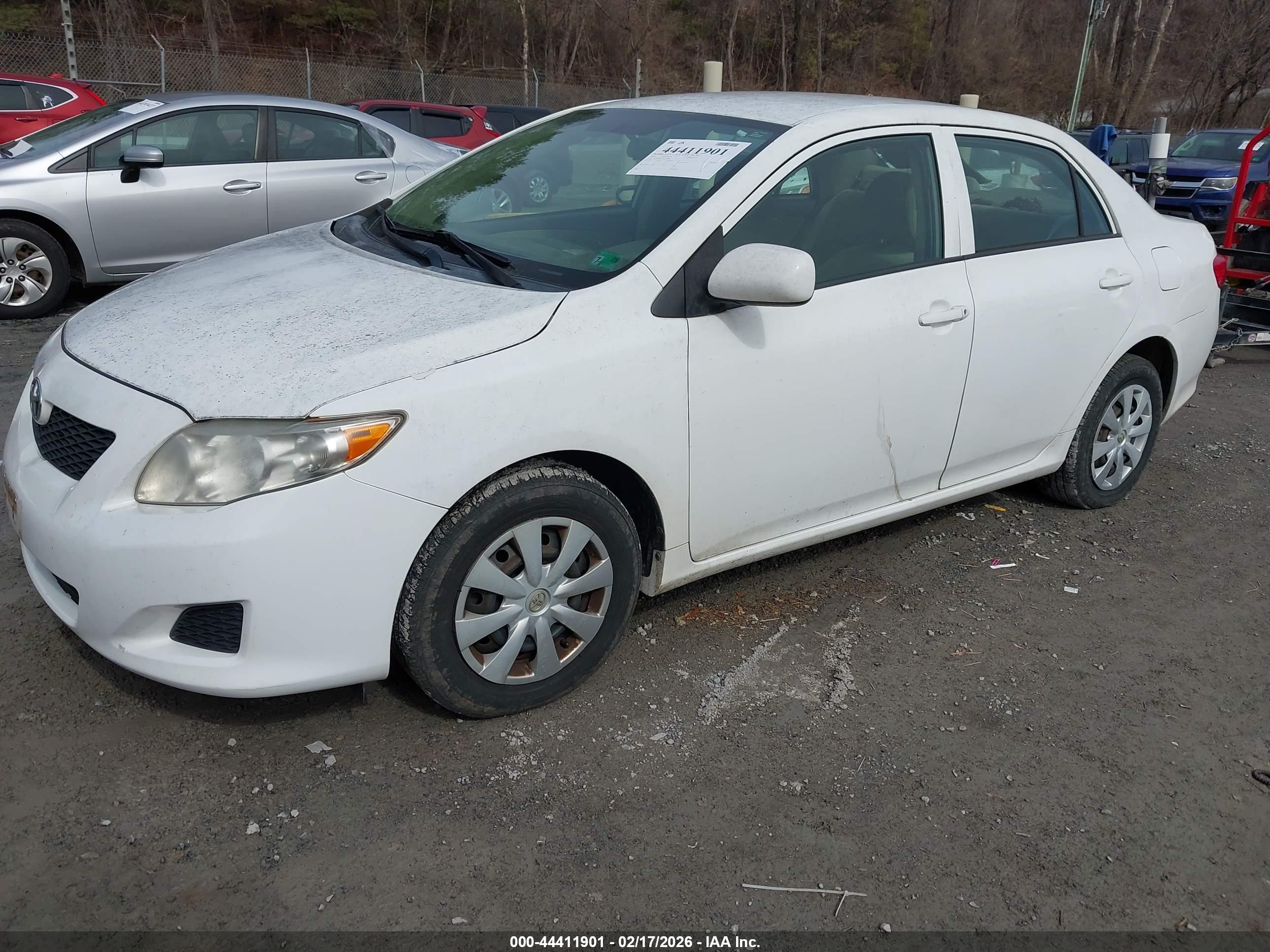 TOYOTA COROLLA image 2