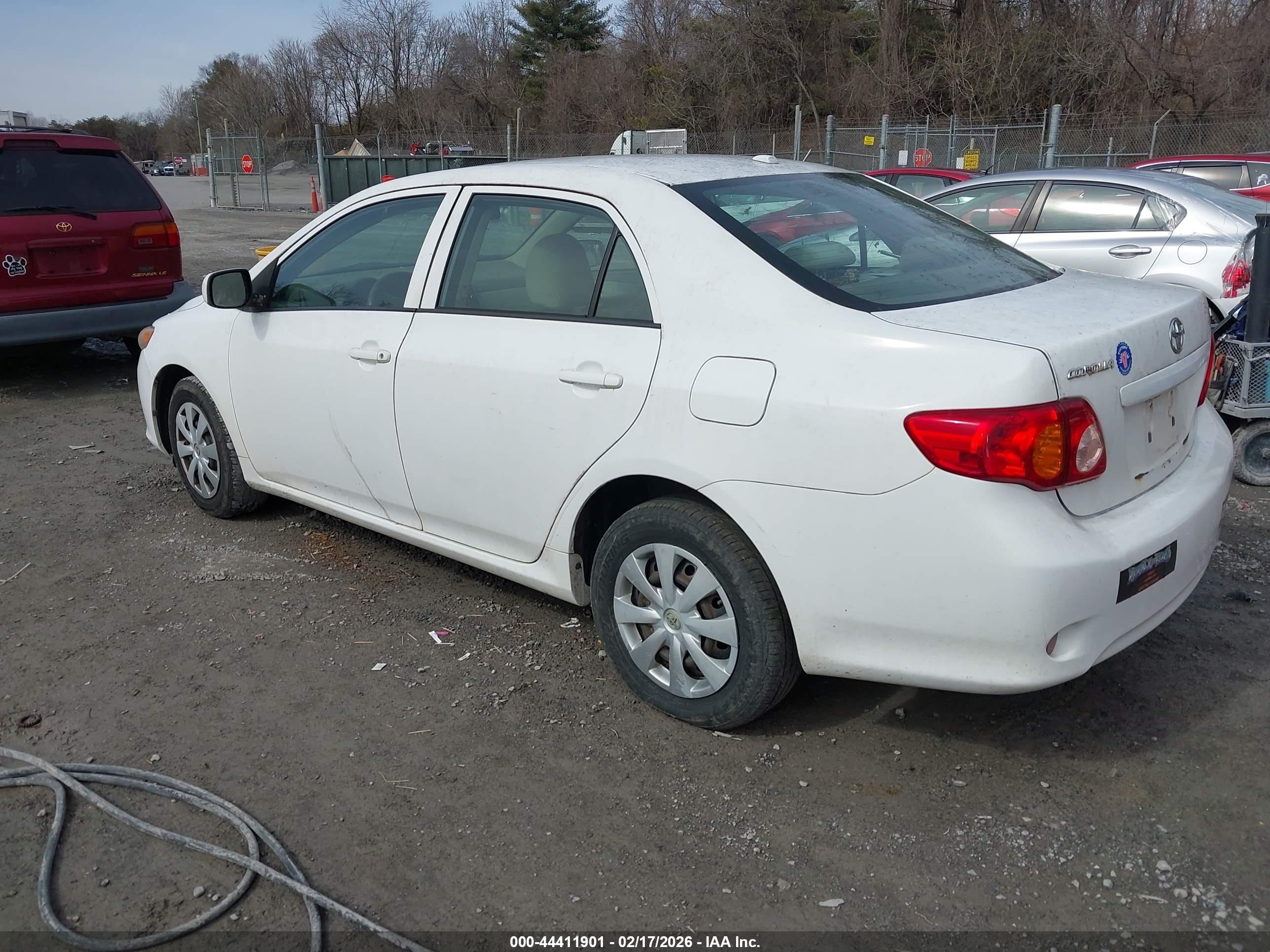 TOYOTA COROLLA image 3
