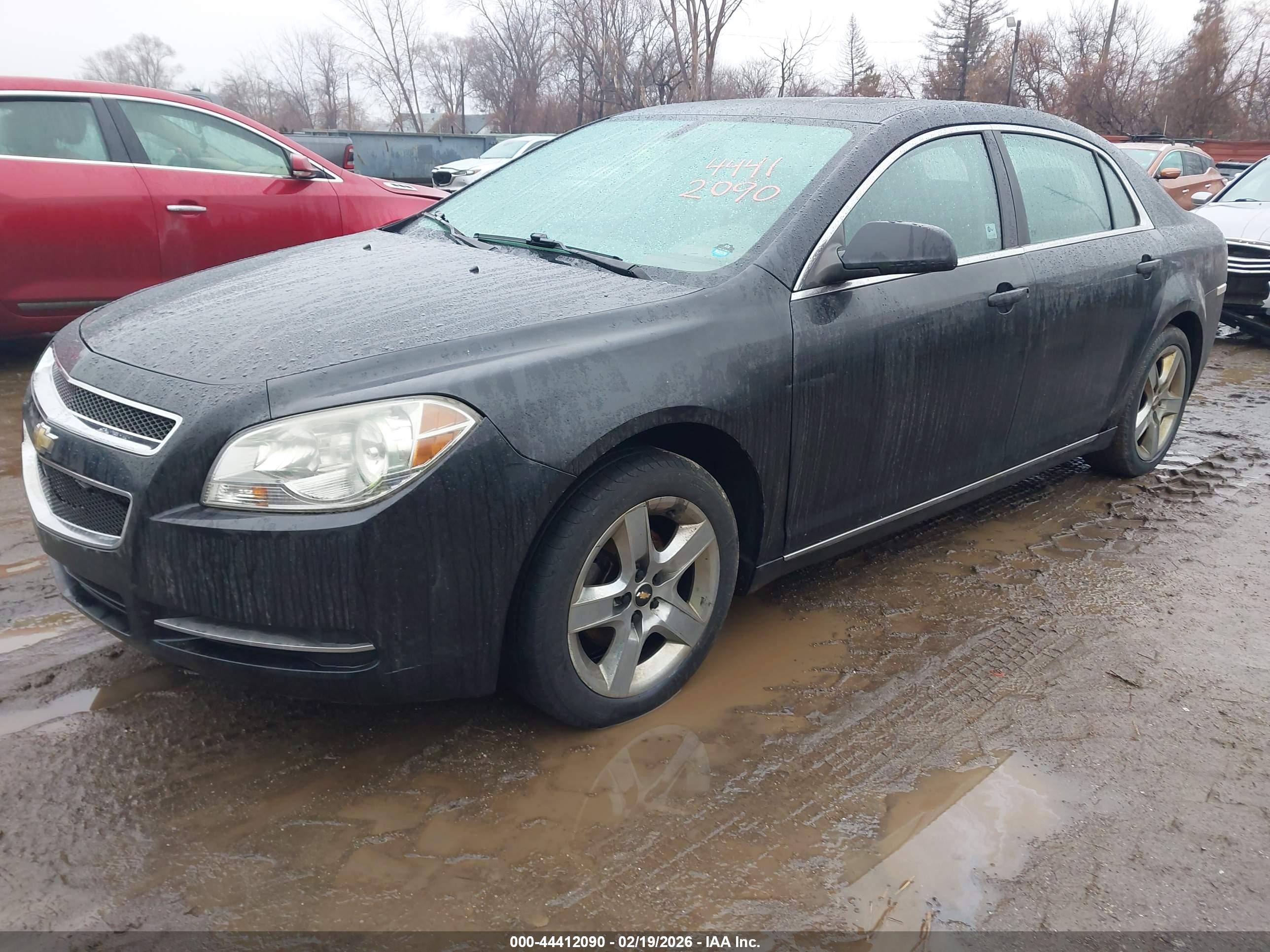 CHEVROLET MALIBU image 2