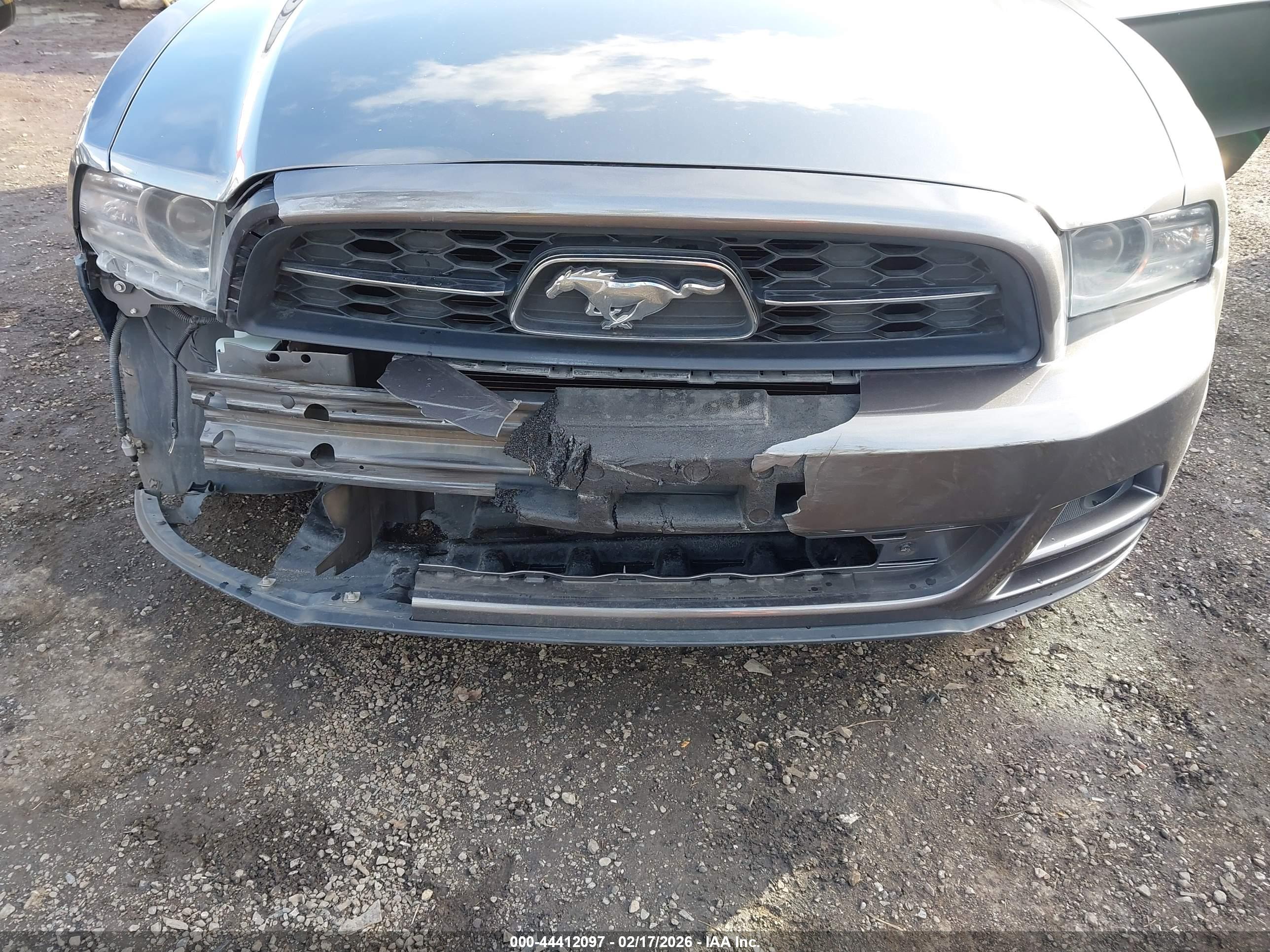 FORD MUSTANG image 6