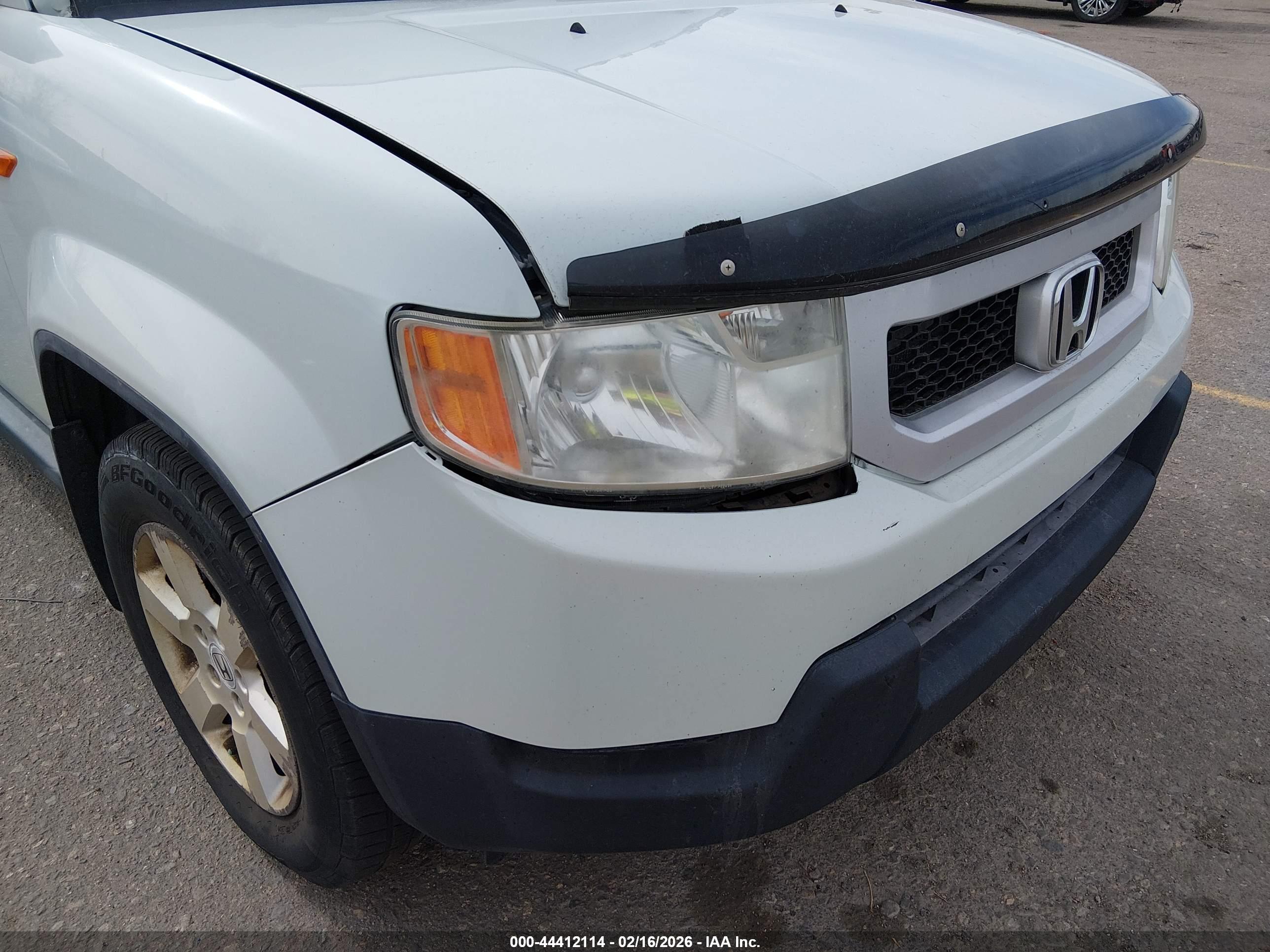 HONDA ELEMENT image 6