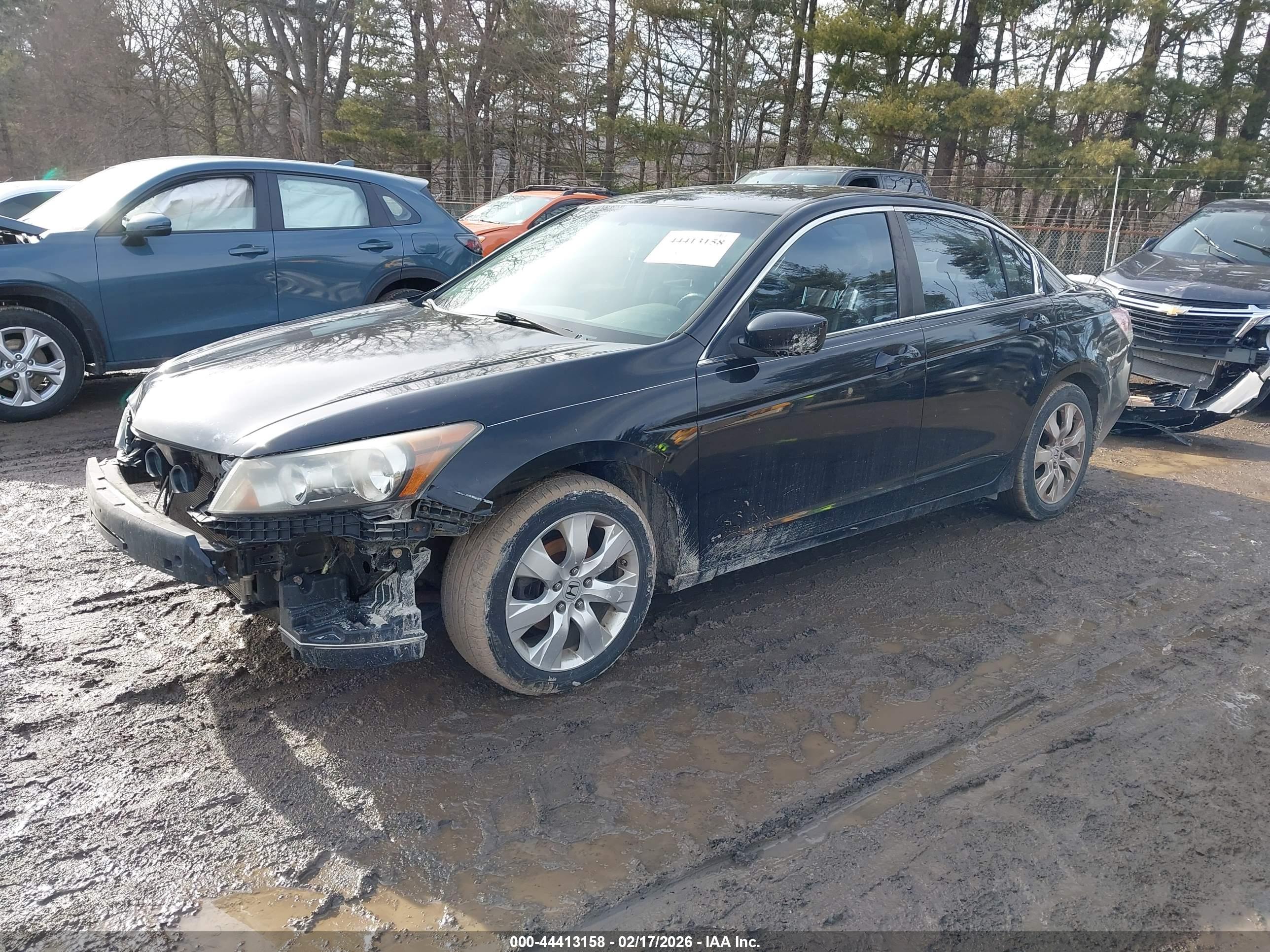 HONDA ACCORD image 2