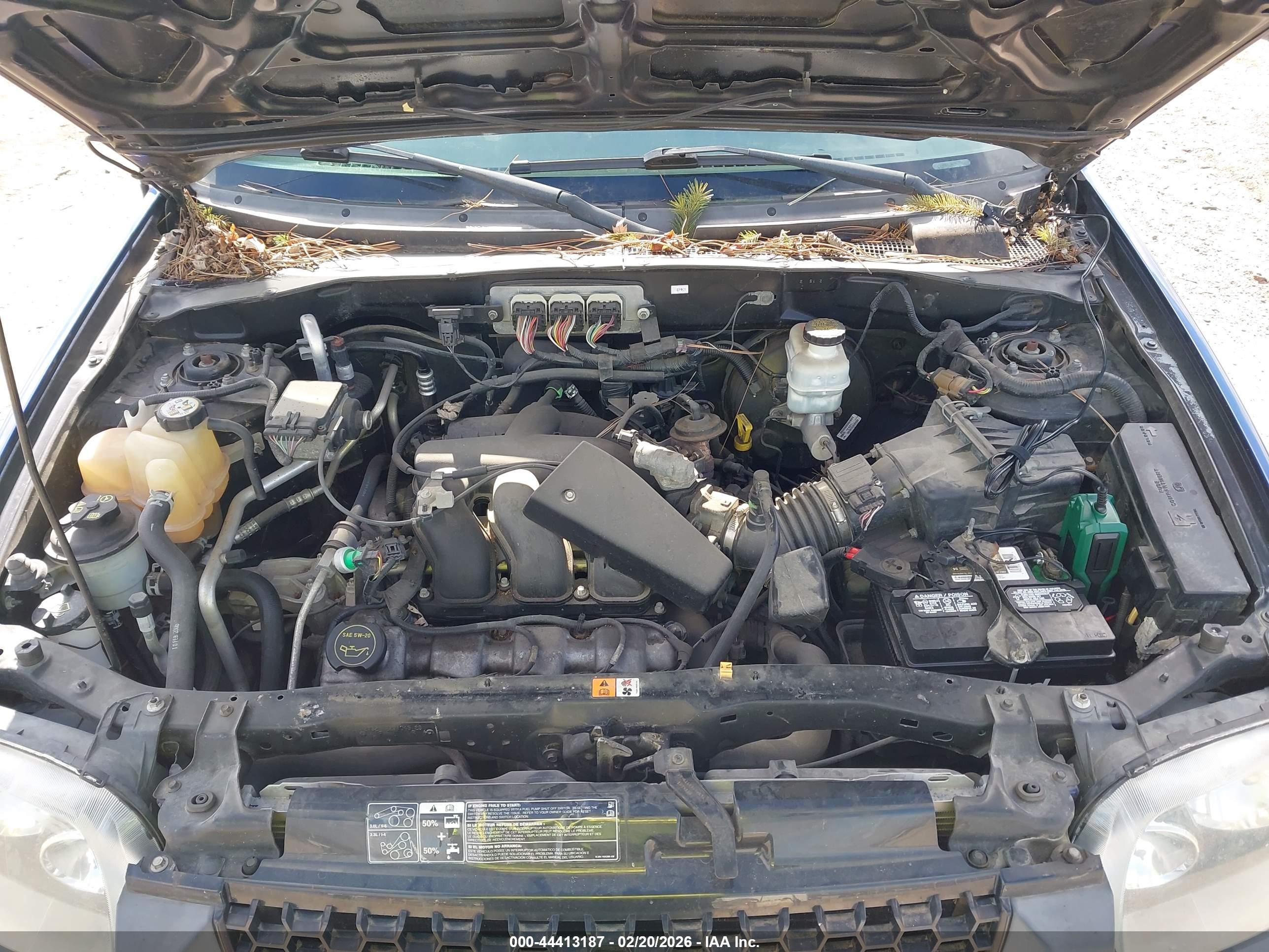 FORD ESCAPE image 10