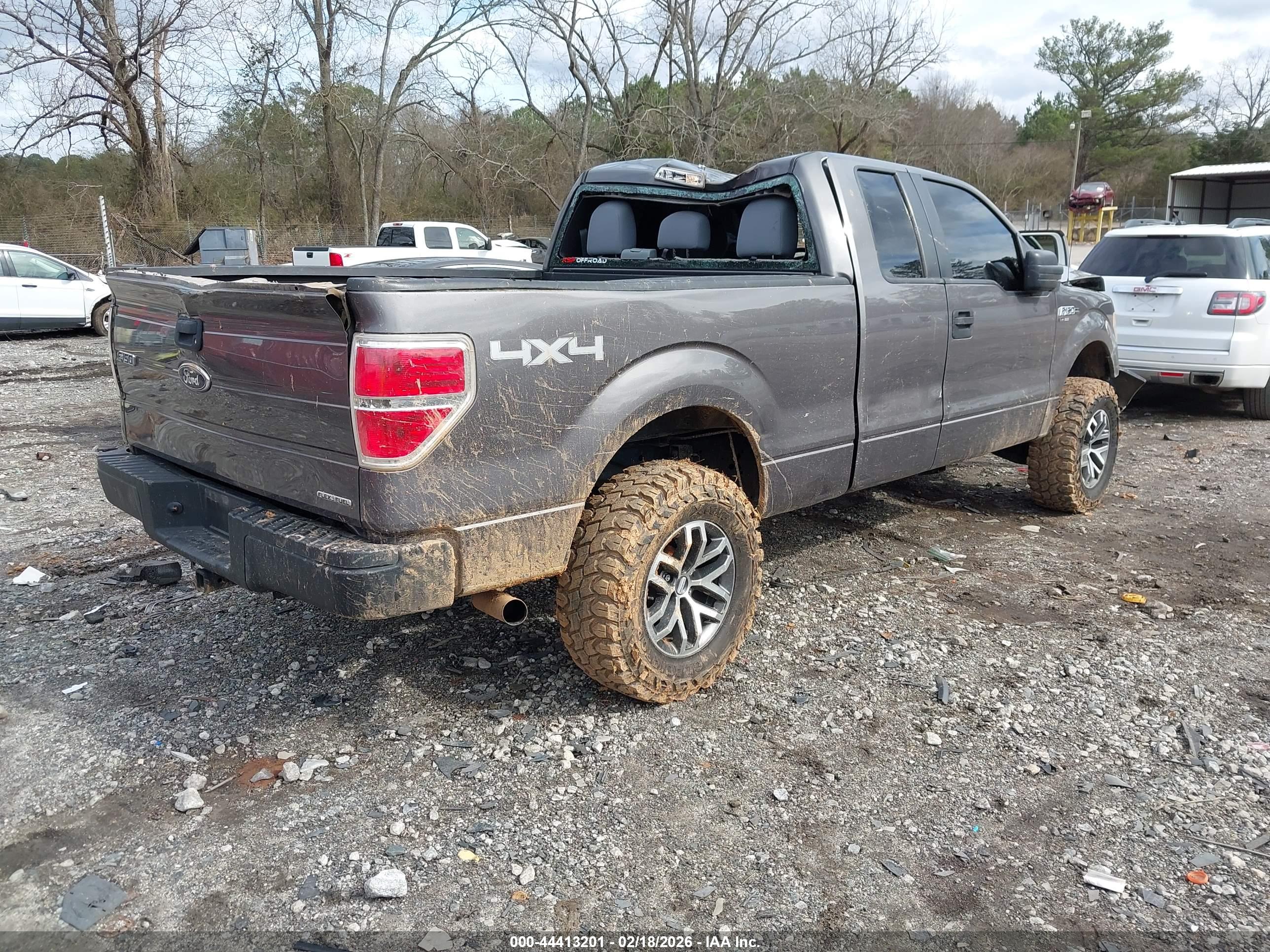 FORD F-150 image 4