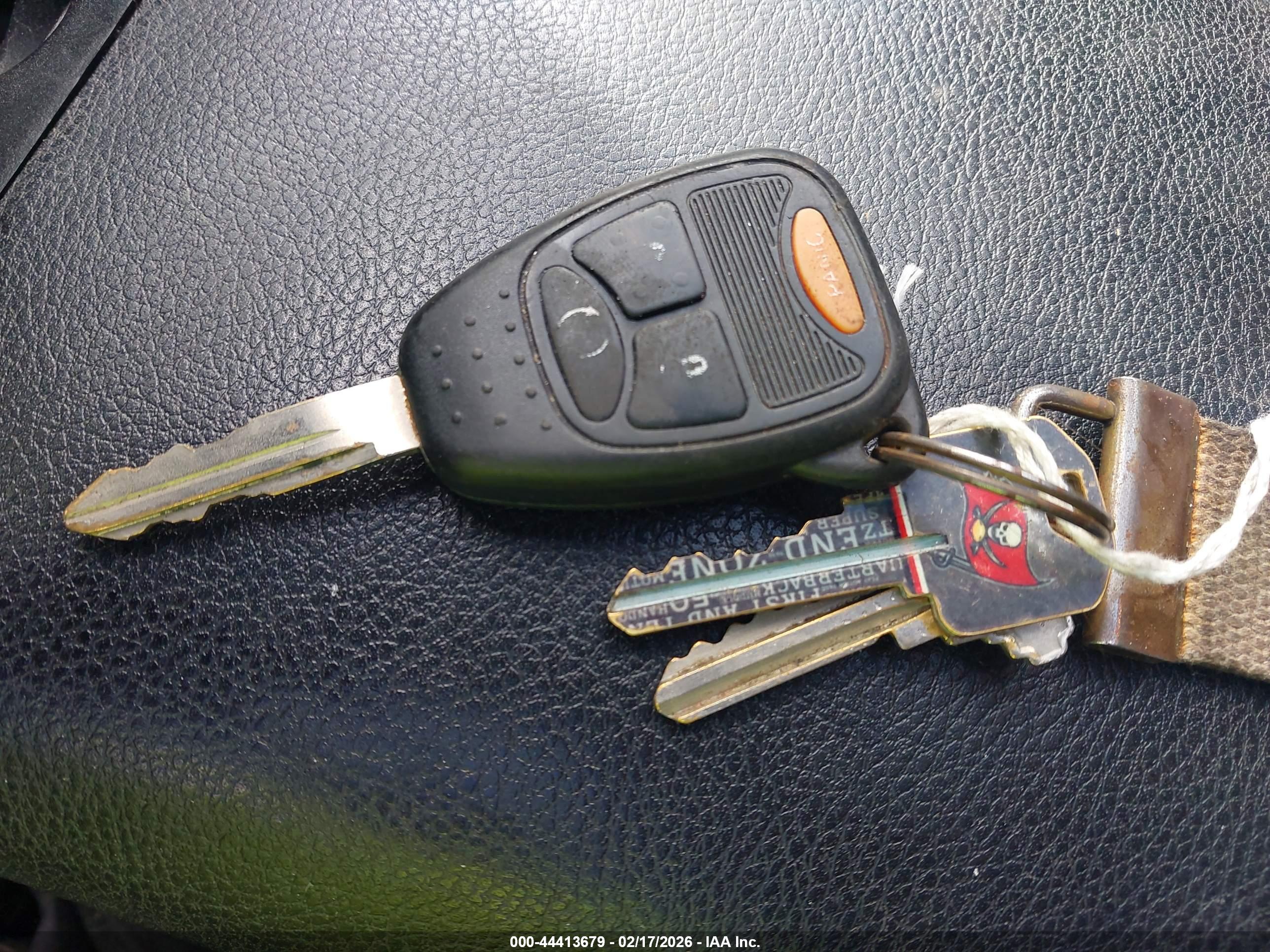JEEP WRANGLER image 11