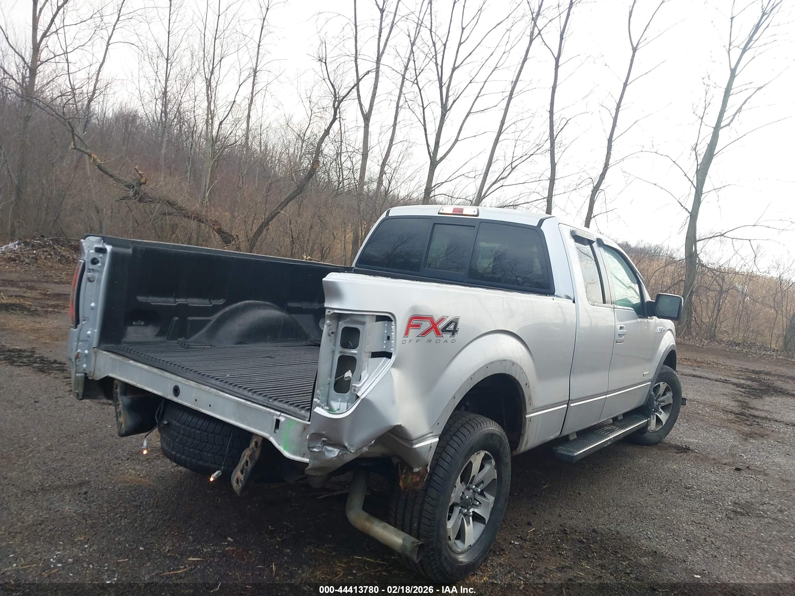FORD F-150 image 4