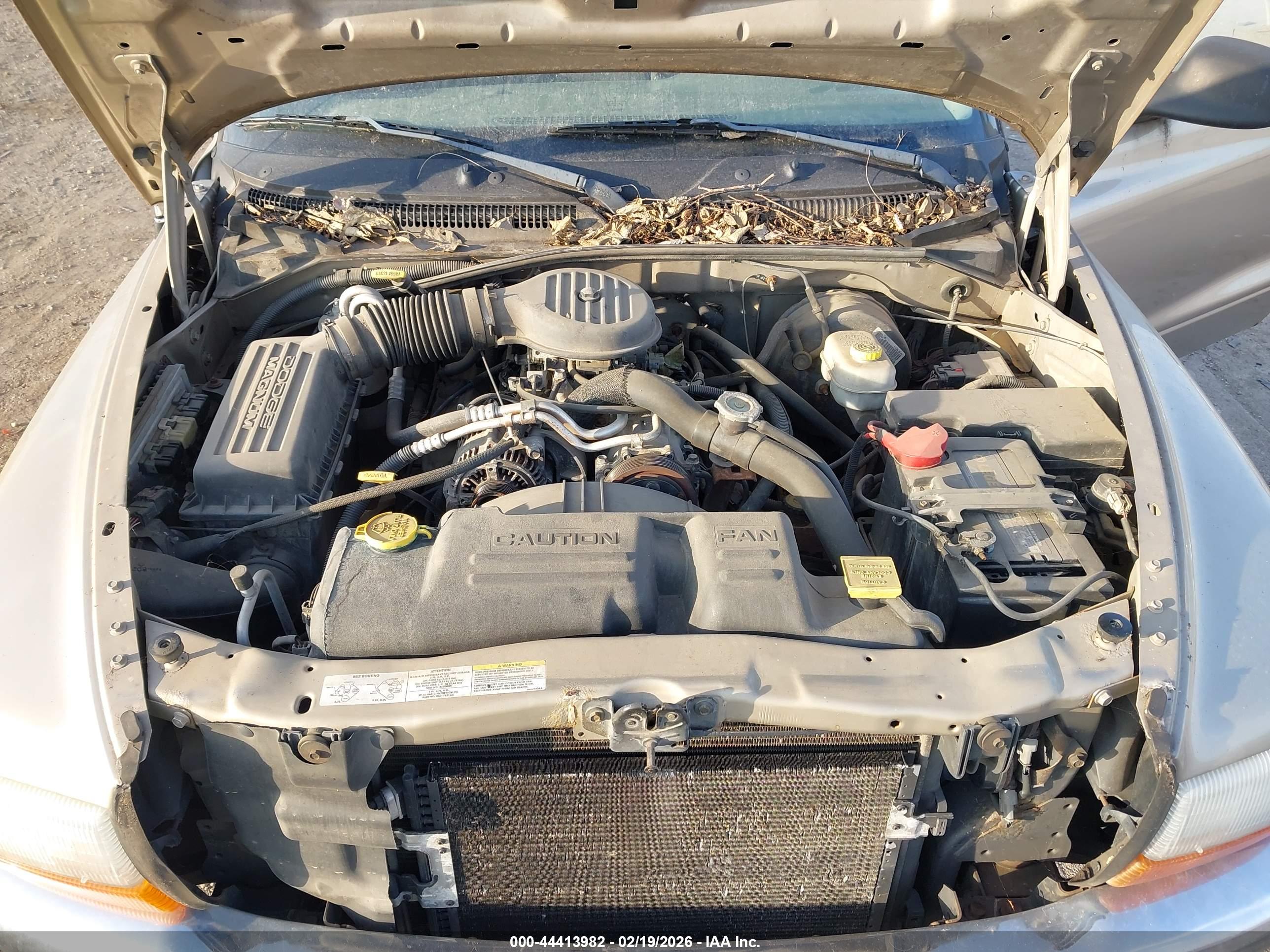 DODGE DAKOTA image 10