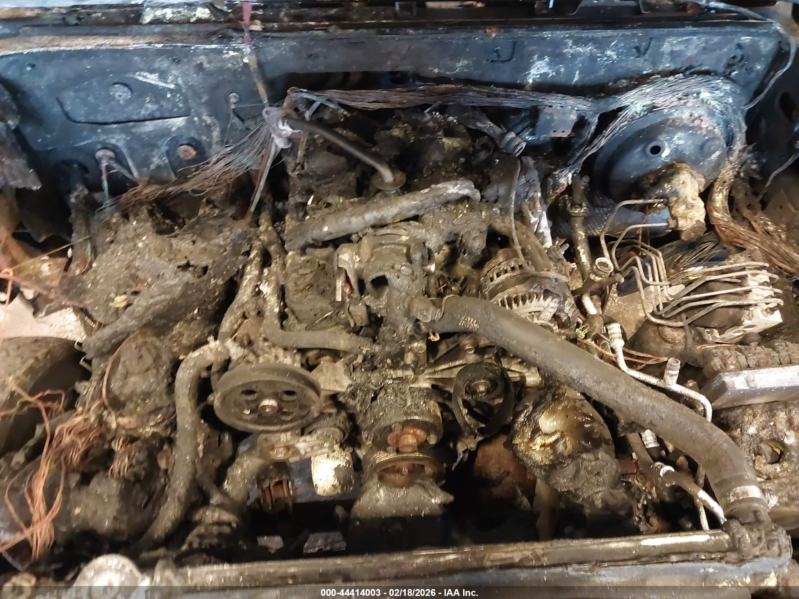 JEEP WRANGLER image 10
