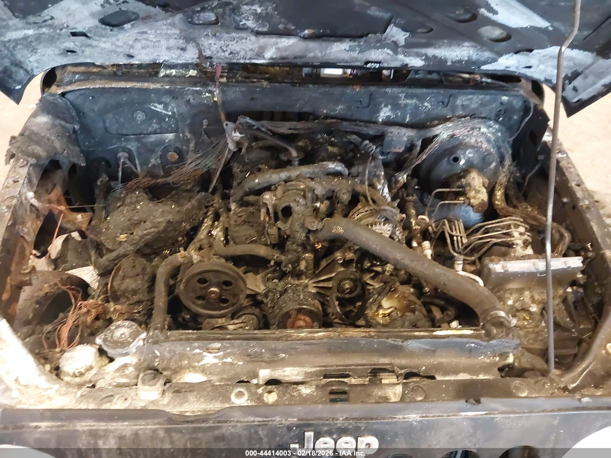JEEP WRANGLER image 6