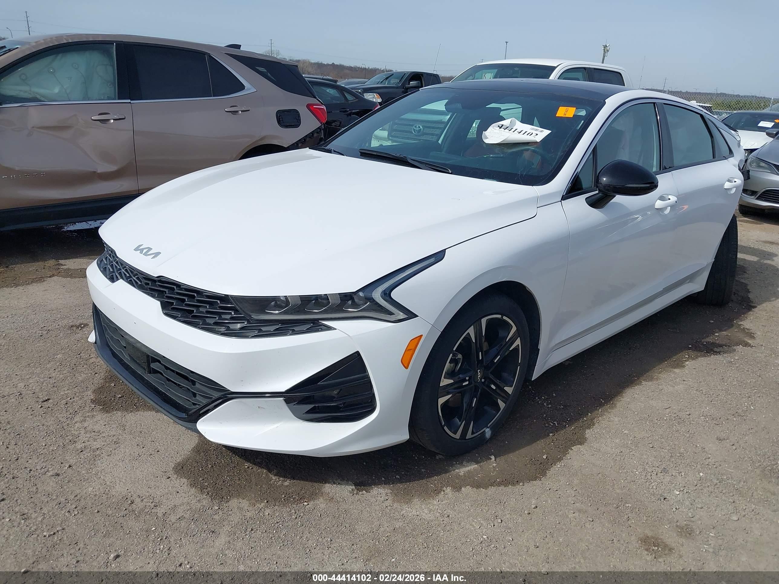 KIA K5 image 2