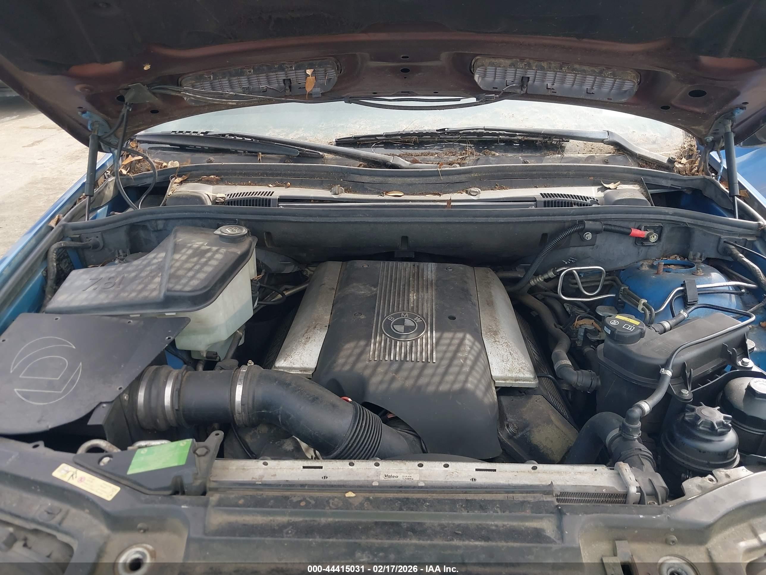 BMW X5 image 10