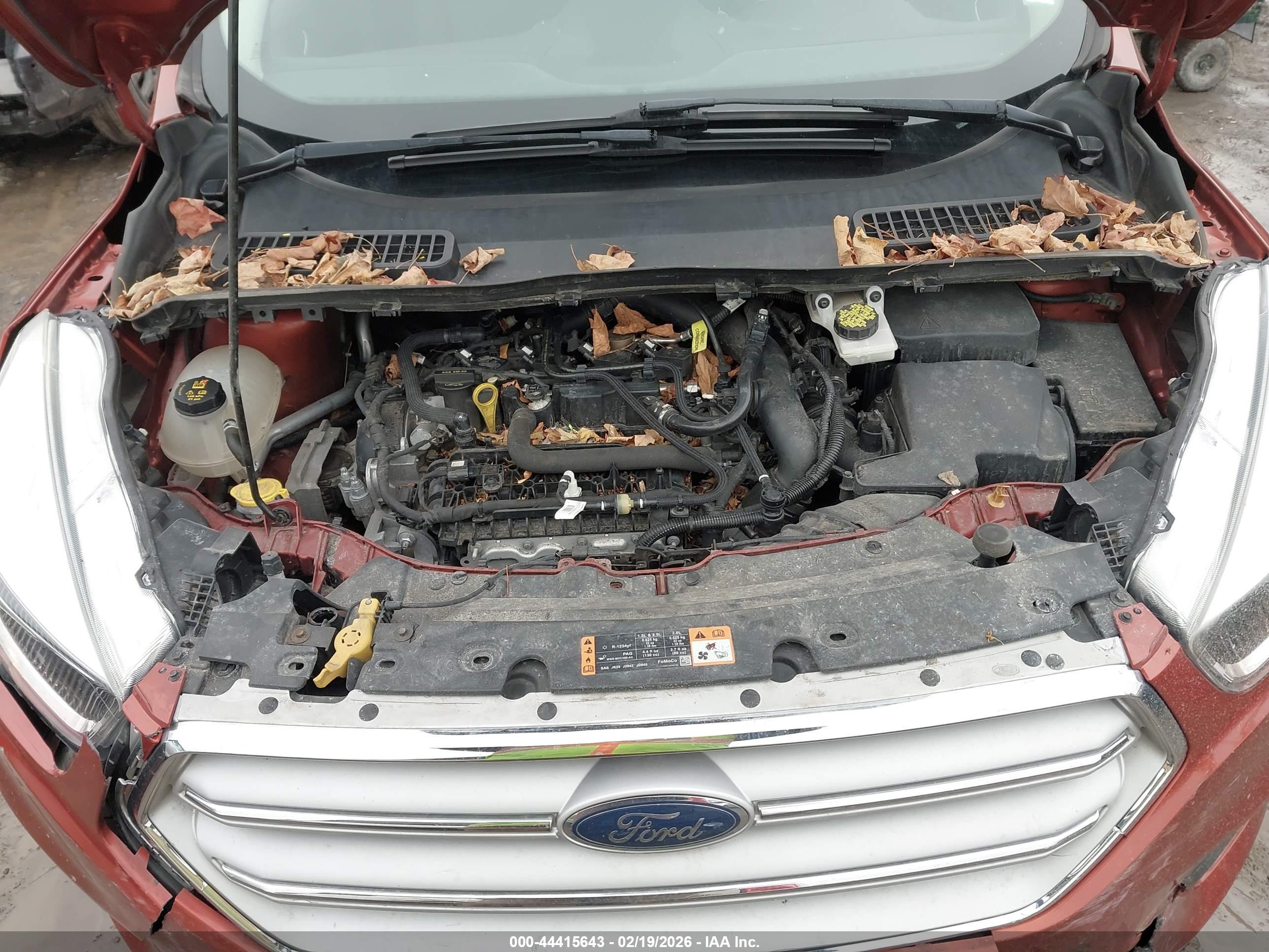 FORD ESCAPE image 10