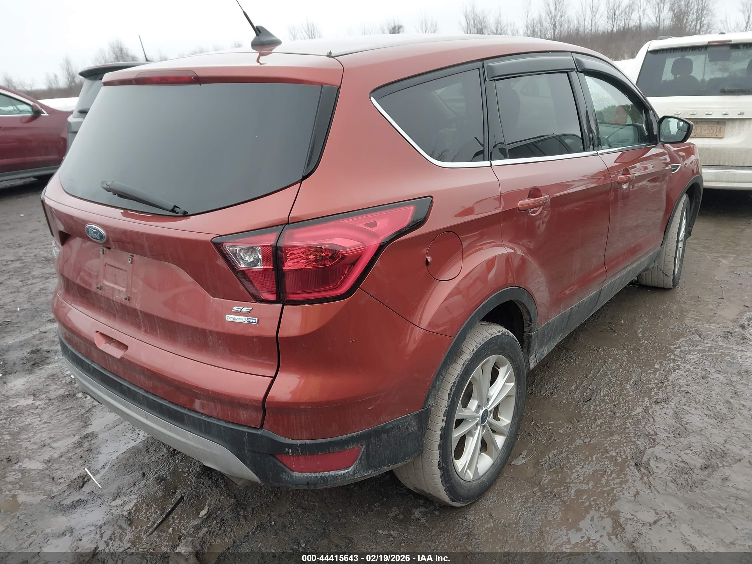 FORD ESCAPE image 4