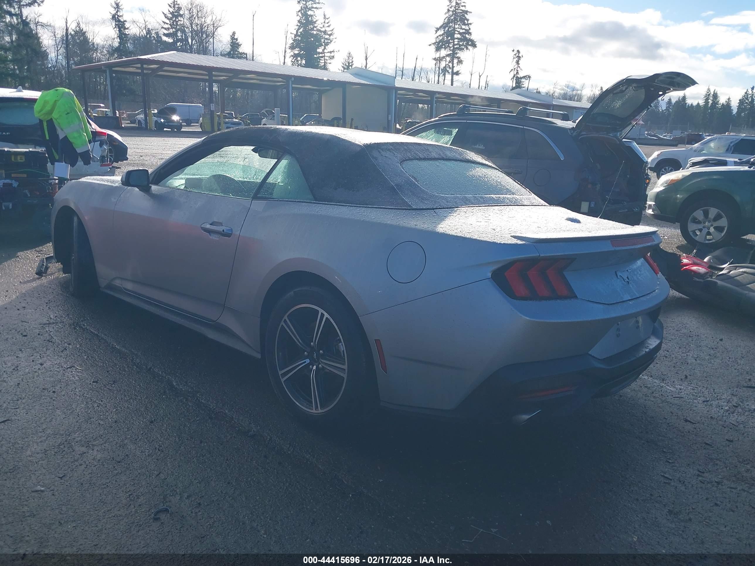 FORD MUSTANG image 3
