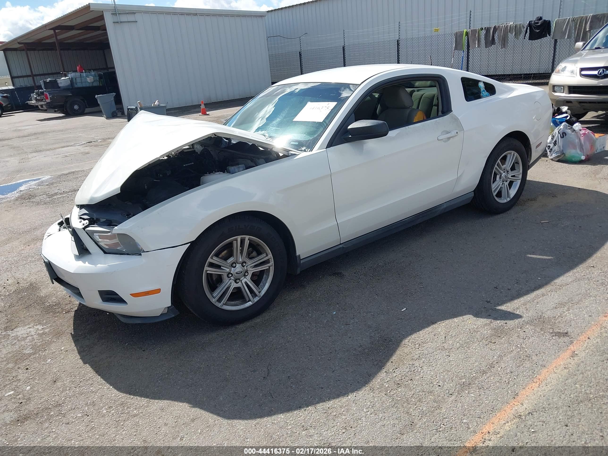 FORD MUSTANG image 2