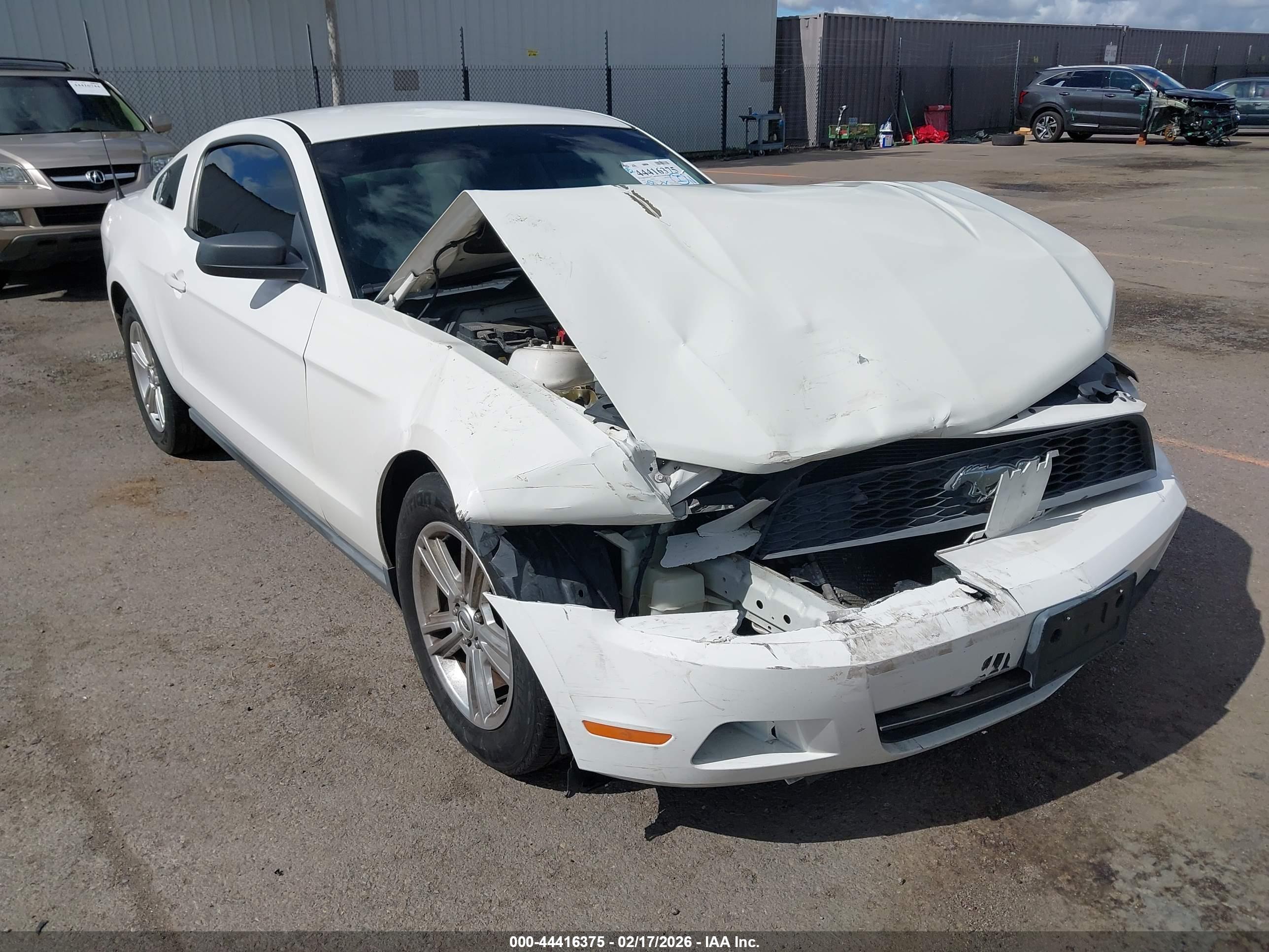 FORD MUSTANG image 6
