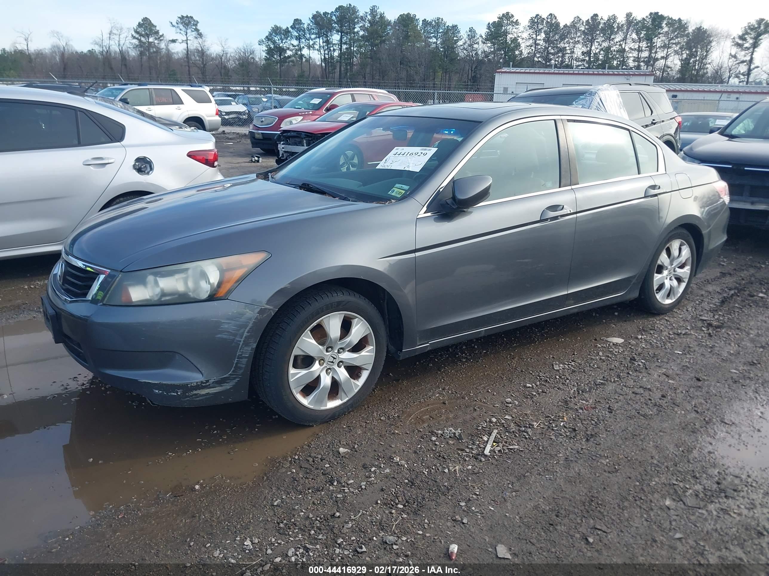 HONDA ACCORD image 2