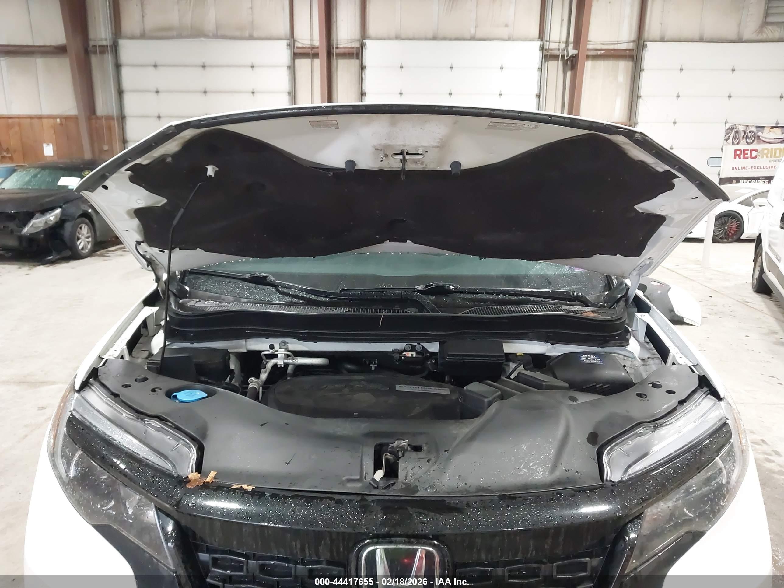HONDA PASSPORT image 10