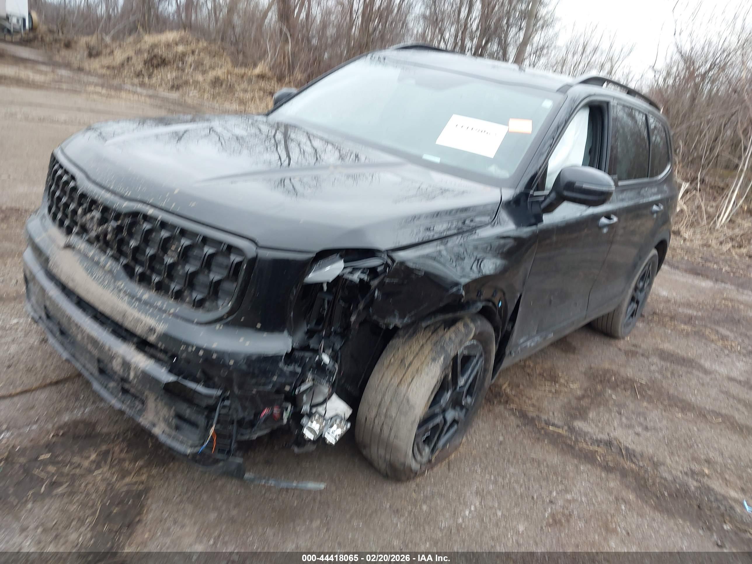 KIA TELLURIDE image 2